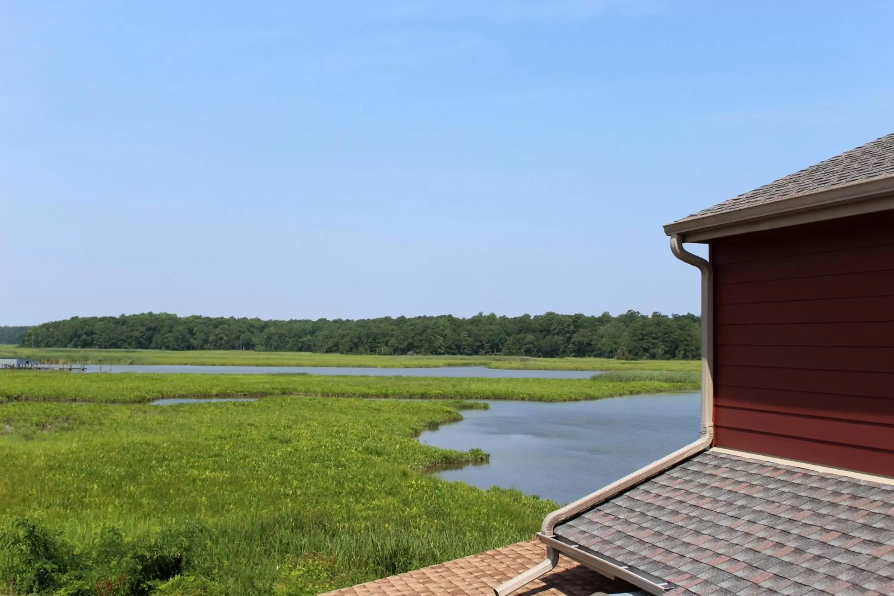 Natural landscape in Surry Seafood Company