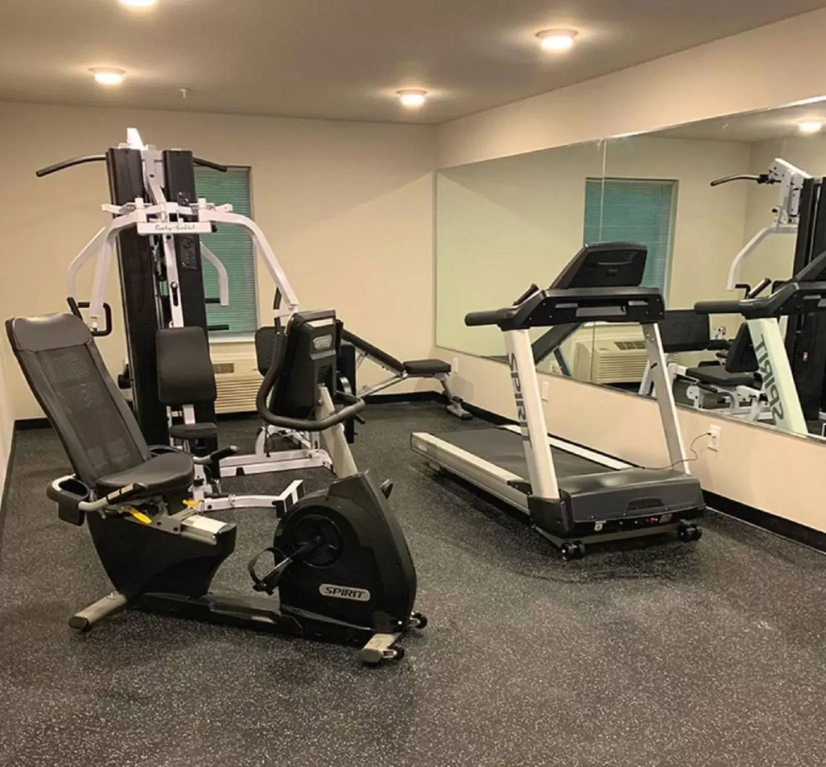 Fitness centre/facilities, Fitness Center/Facilities in Savannah Suites Atlanta Airport