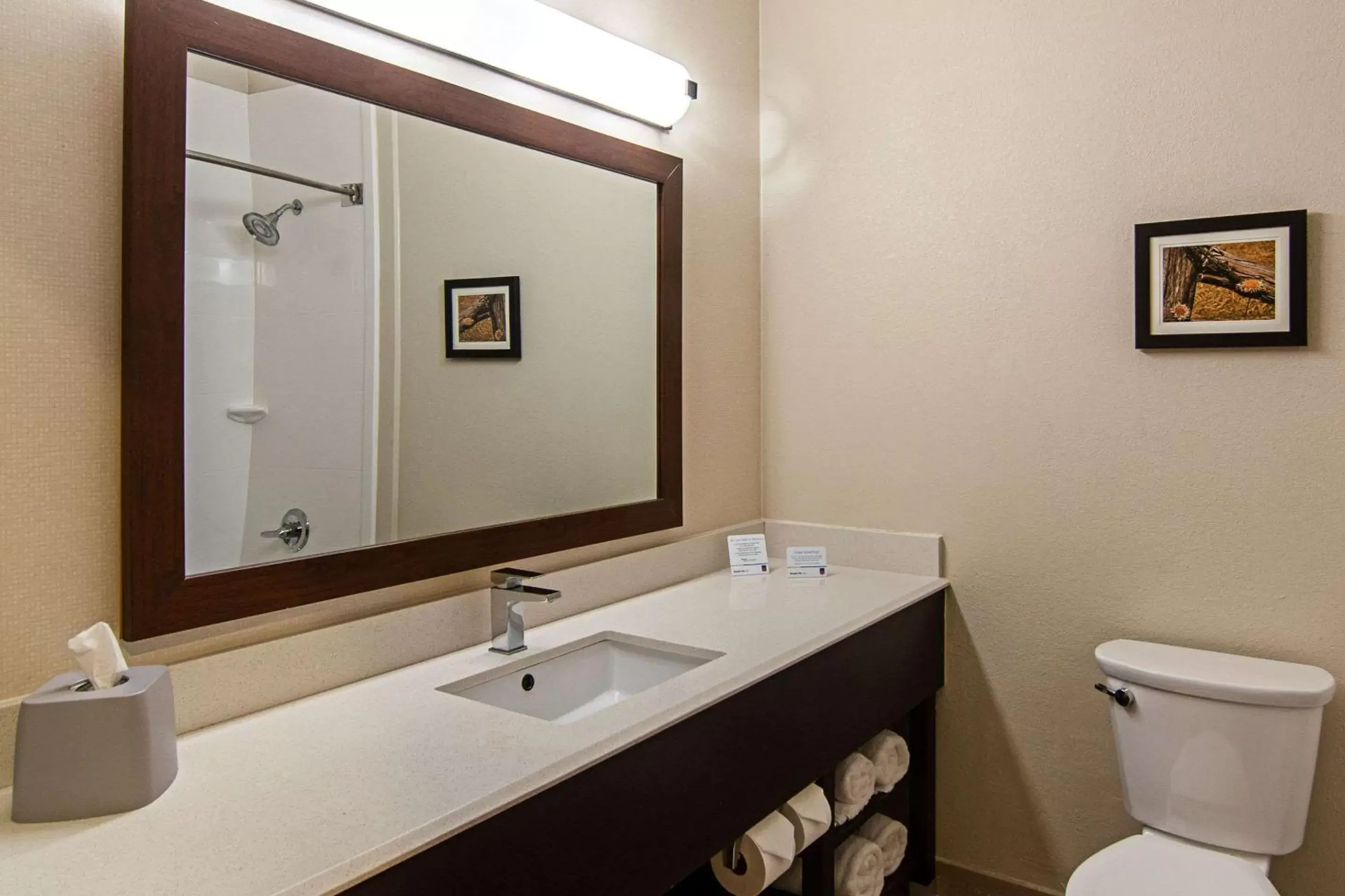 Photo of the whole room, Bathroom in Comfort Suites NW Dallas Near Love Field