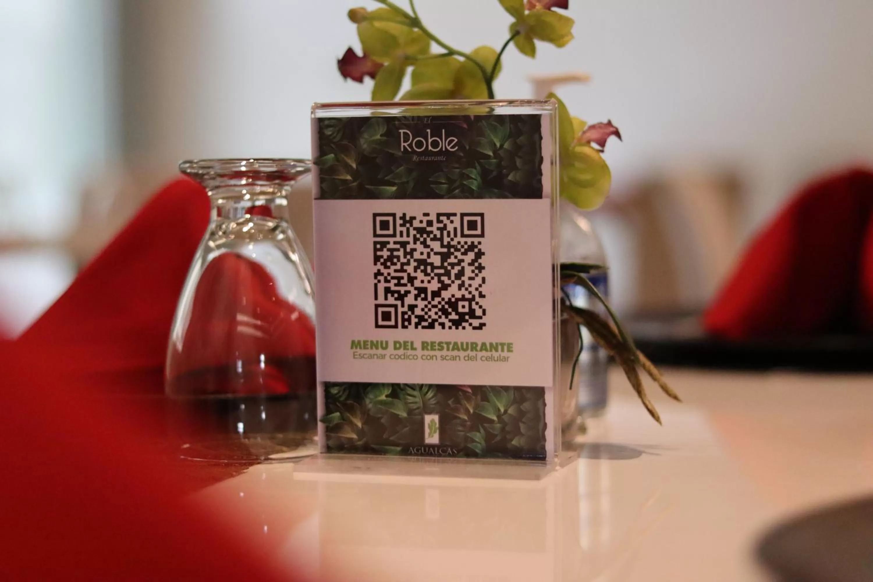 Restaurant/places to eat in Hotel Agualcas