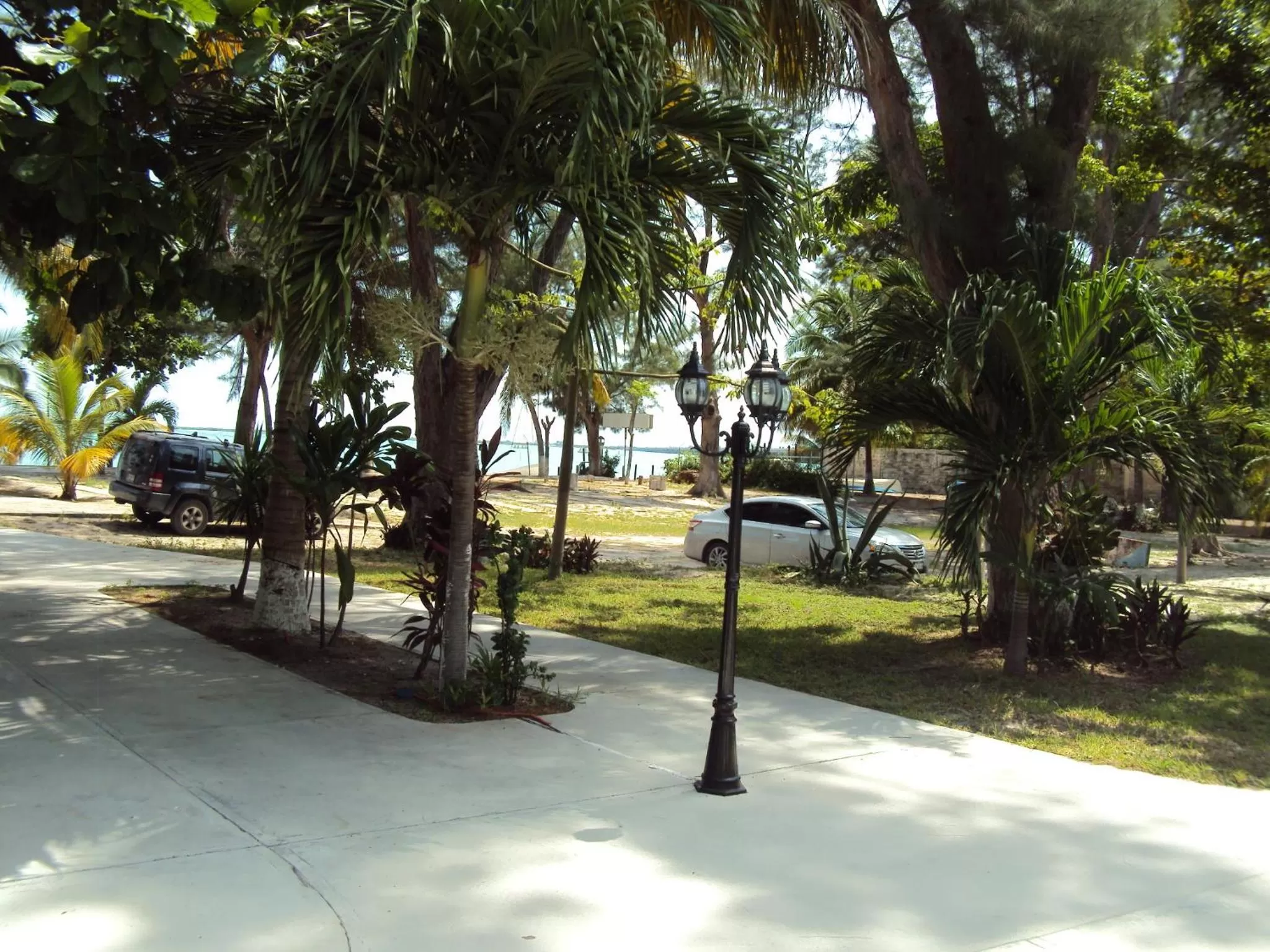 Restaurant/places to eat in Freedom Shores "La Gringa" Hotel - Universally Designed