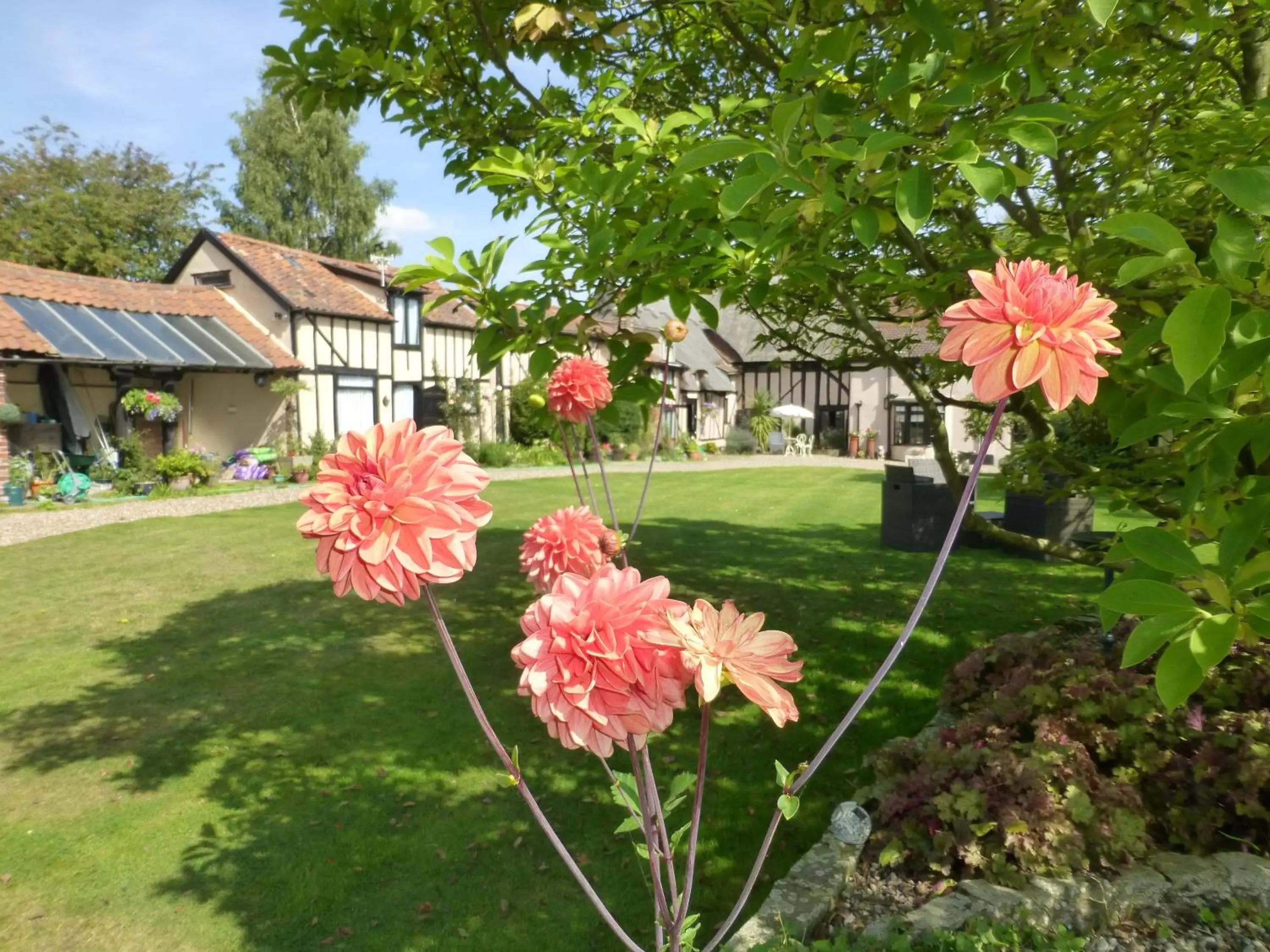 Garden view, Garden in The Greyhound - Historic former Inn