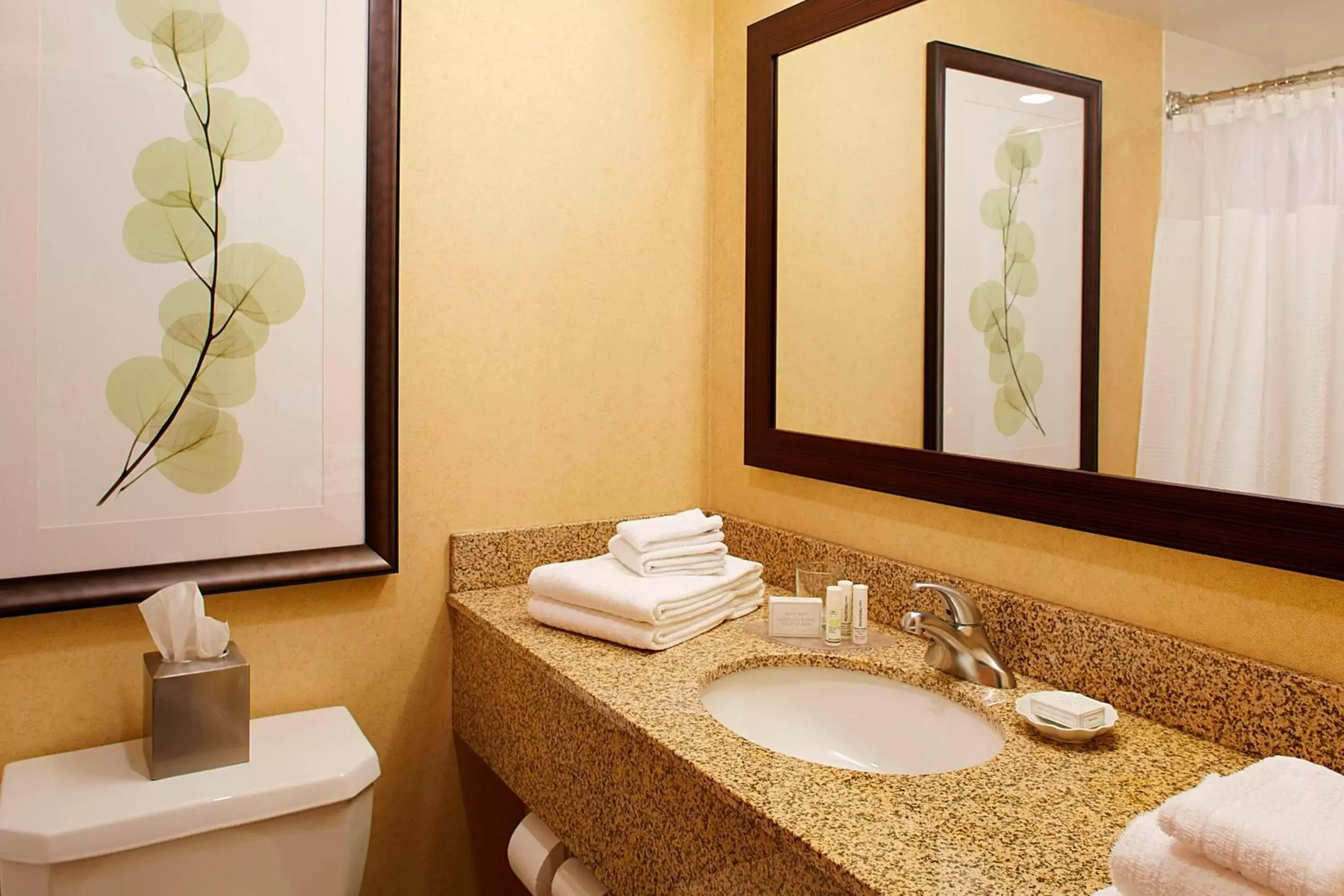 Bathroom in Courtyard by Marriott Ithaca Airport/University