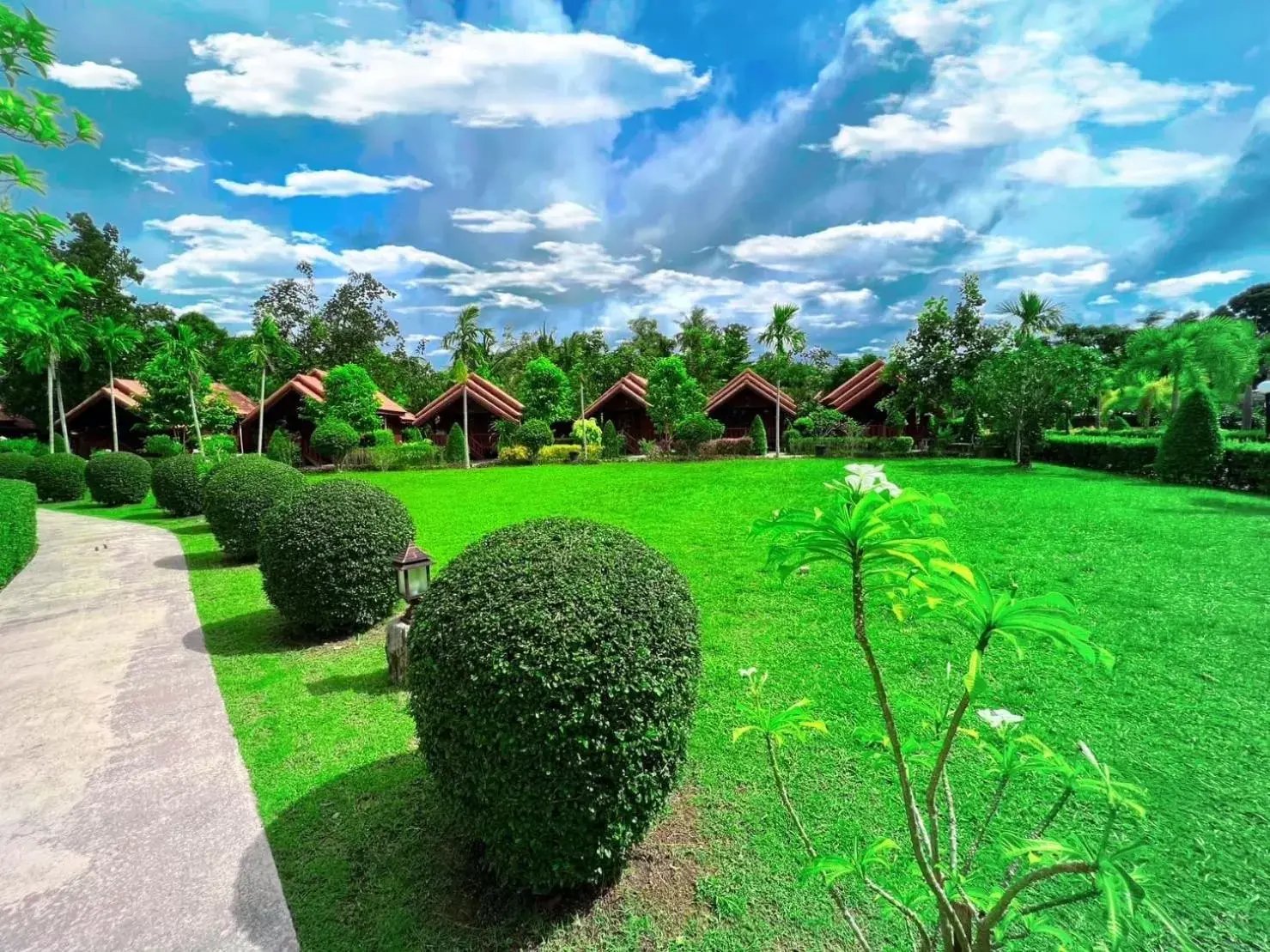 Natural landscape, Garden in Diamond Beach Resort