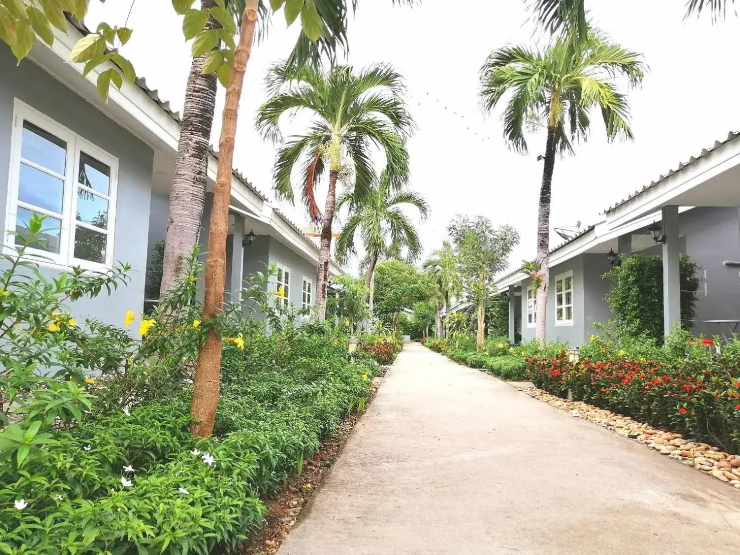 Property building in 1715 House - White Rhino Property building in 1715 House - White Rhino