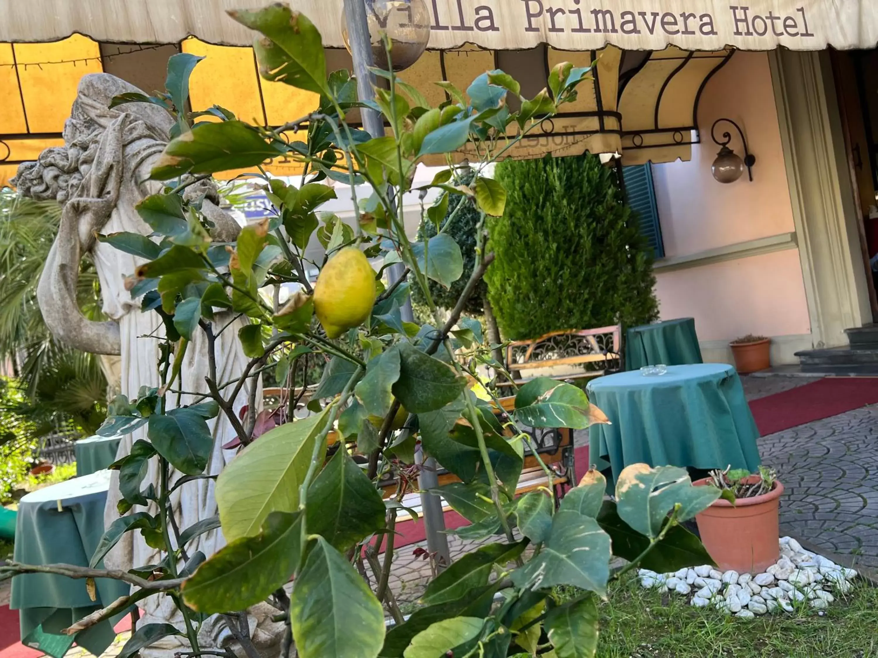 Spring in Hotel Villa Primavera