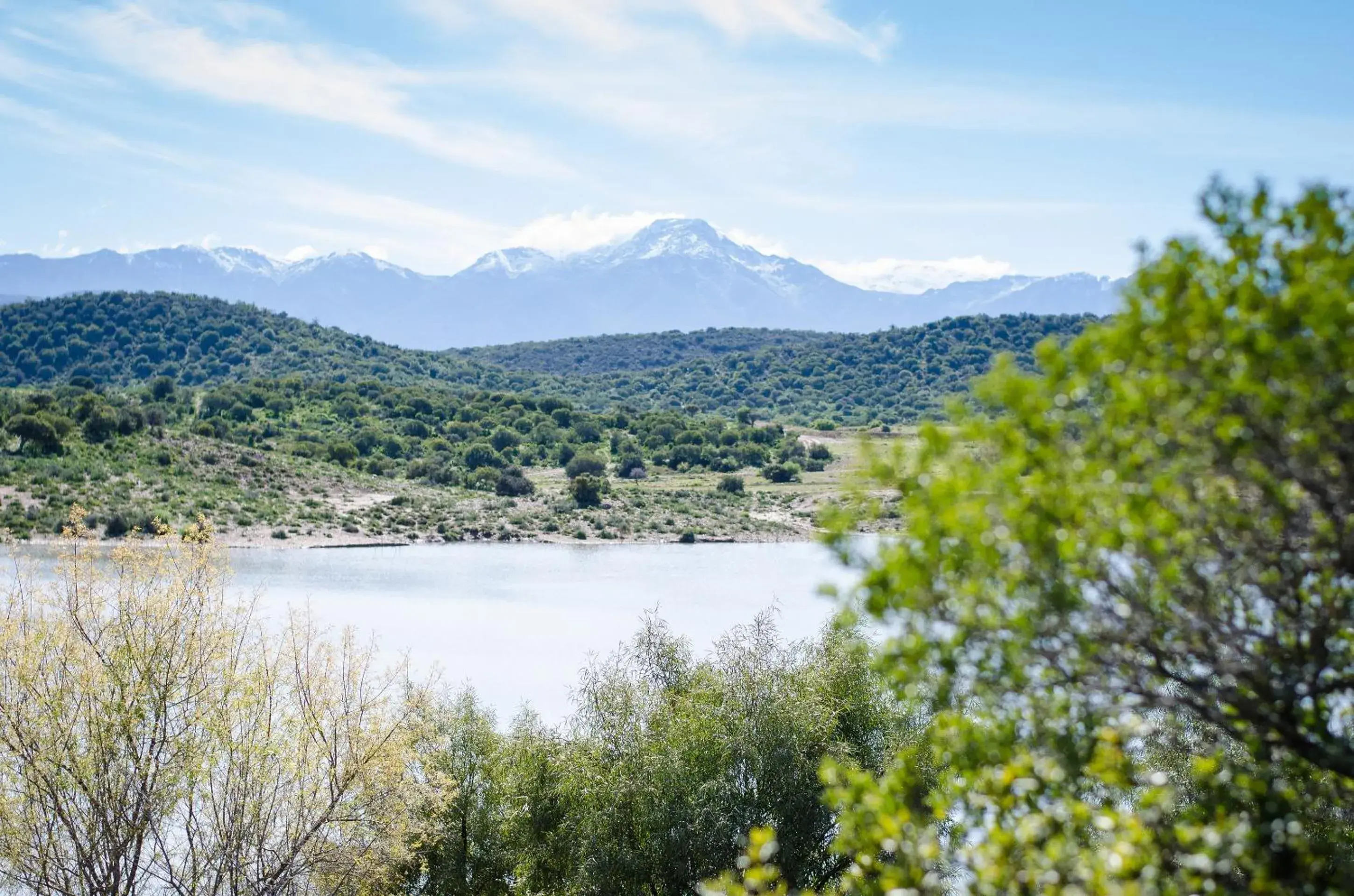 View (from property/room) in Buffelsdrift Game Lodge