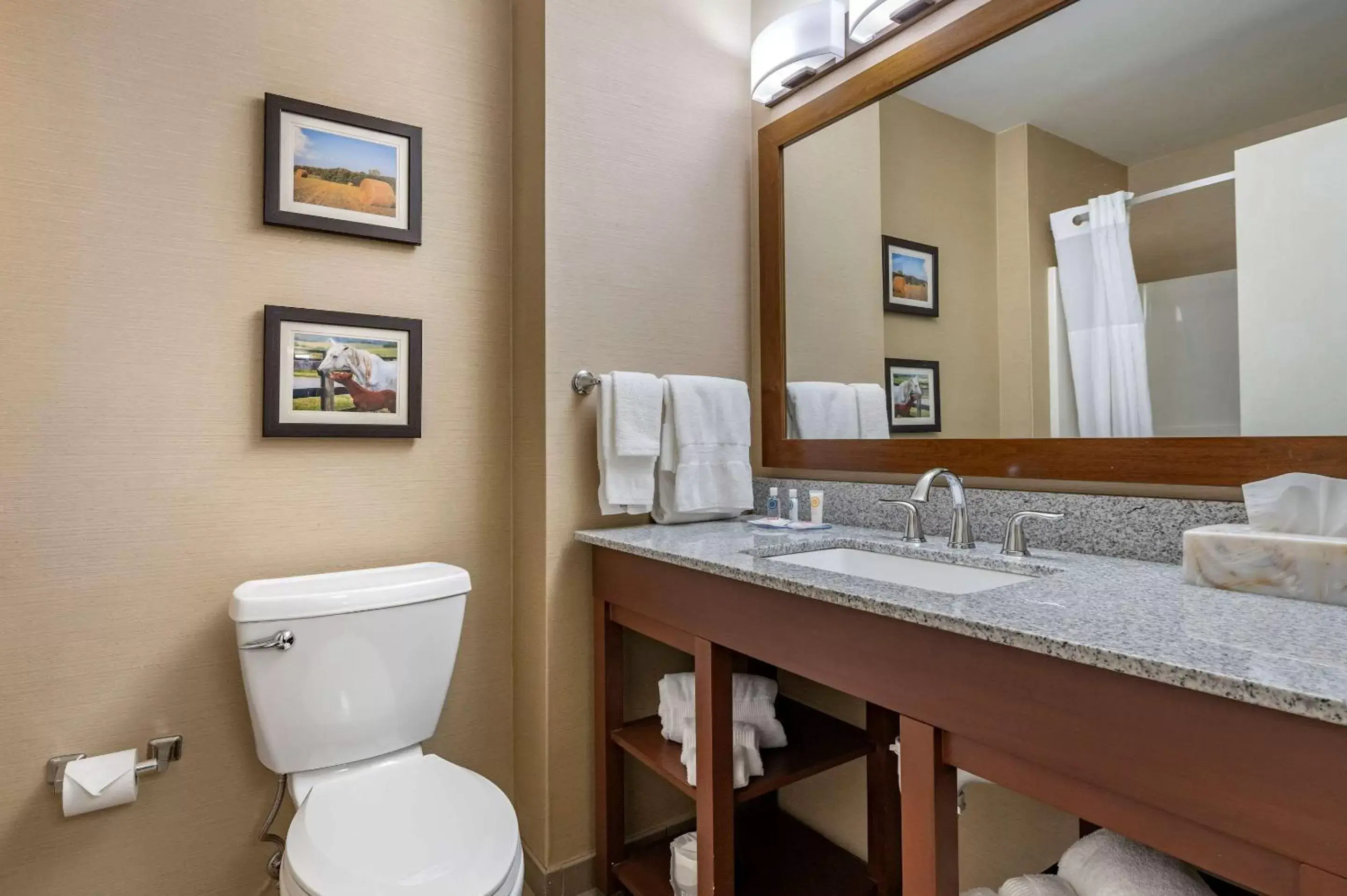 Photo of the whole room, Bathroom in Comfort Inn & Suites Northern Kentucky