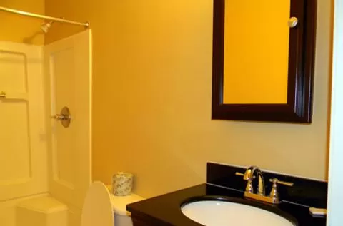 Standard Room (2 Adults) - Non-Smoking  in Stay Inn & Suites - Stockbridge
