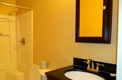 Bathroom in Stay Inn & Suites - Stockbridge