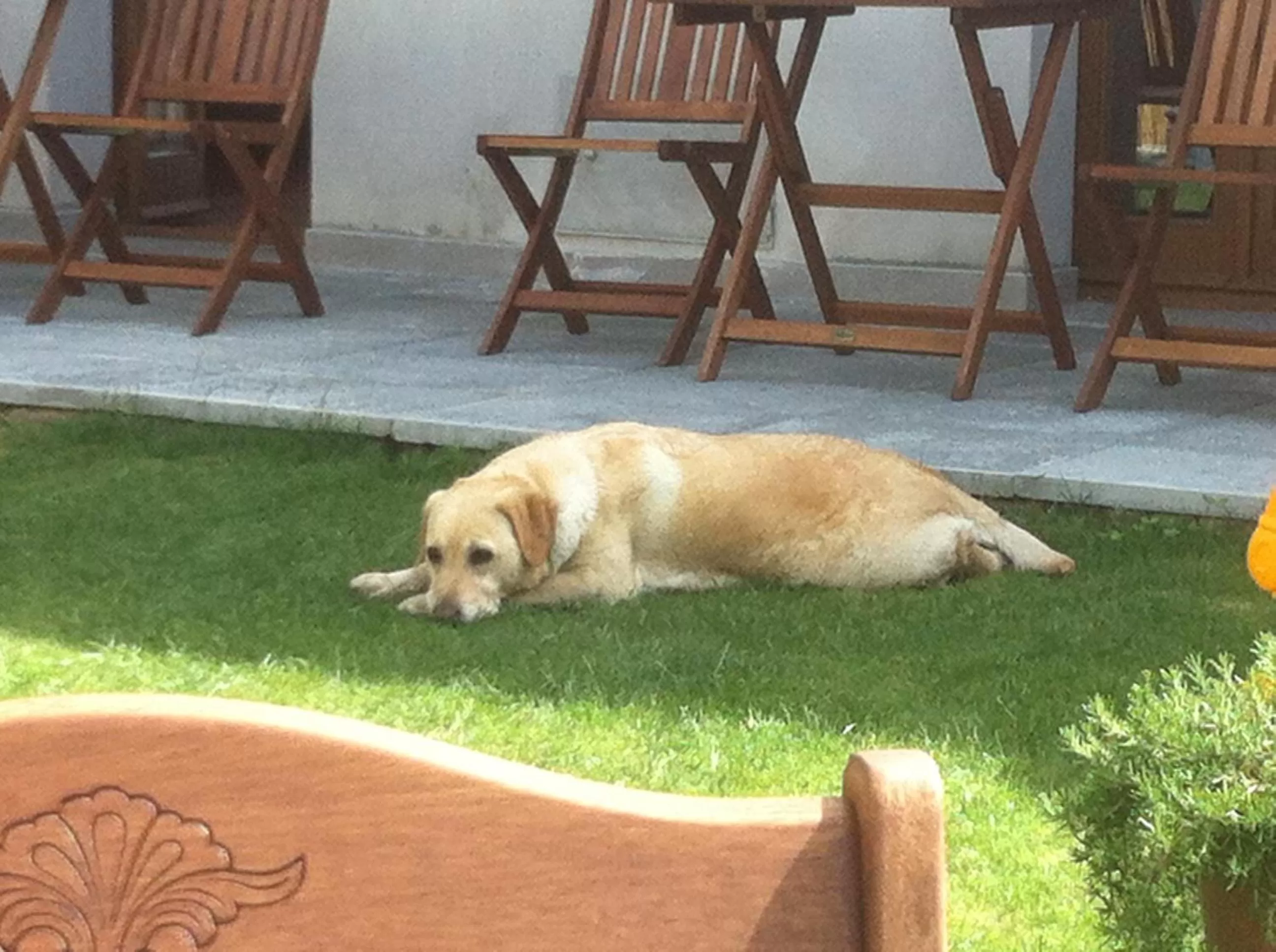 Garden in Il Casale Del Giglio