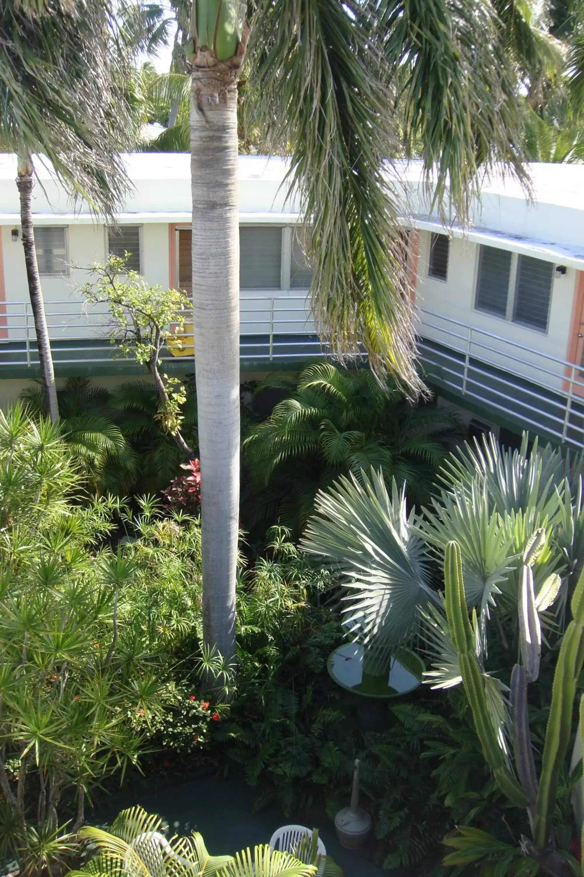 Facade/entrance, Property Building in El Patio Motel