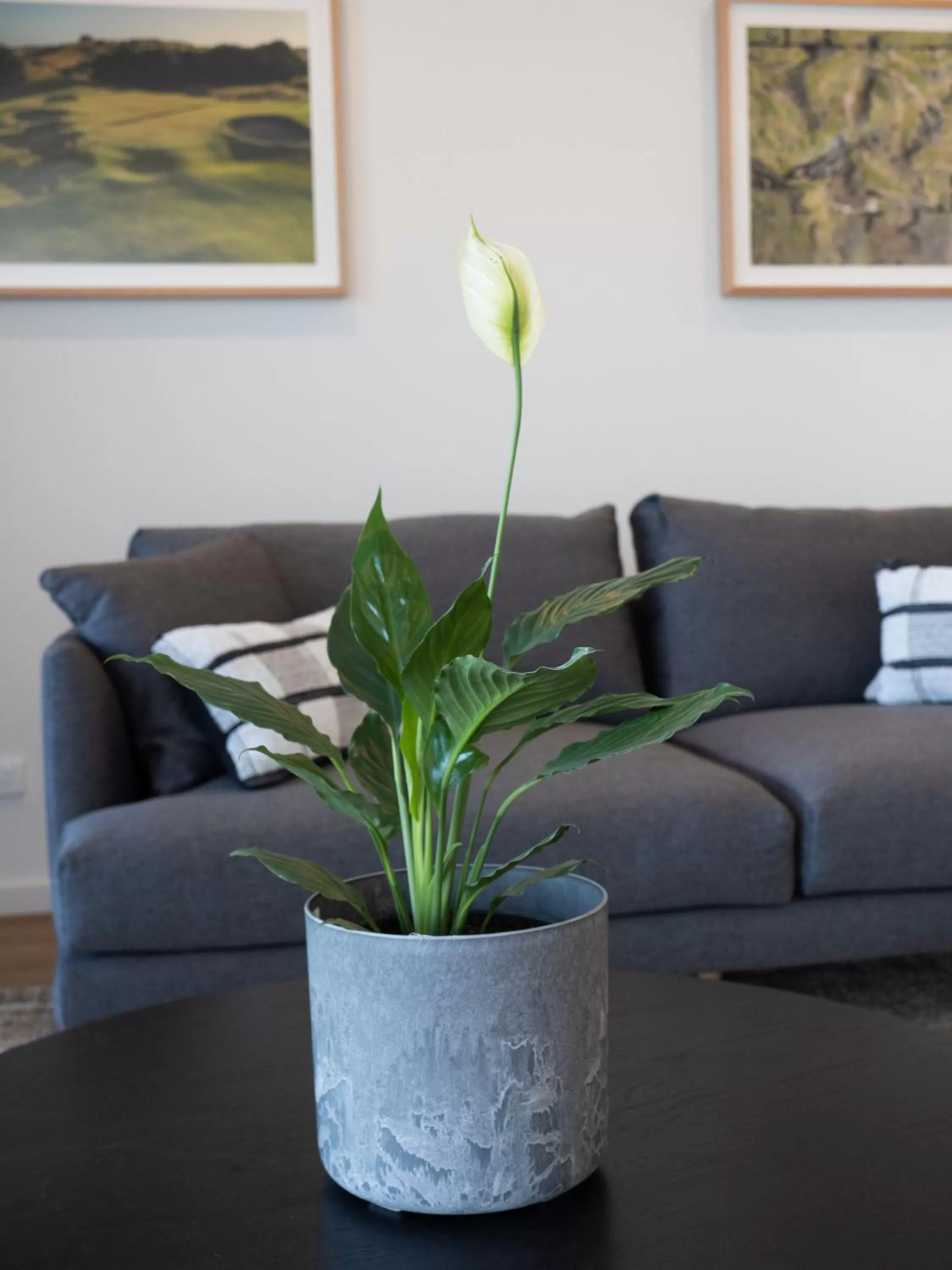 Living room in Links Lodge at The Dunes