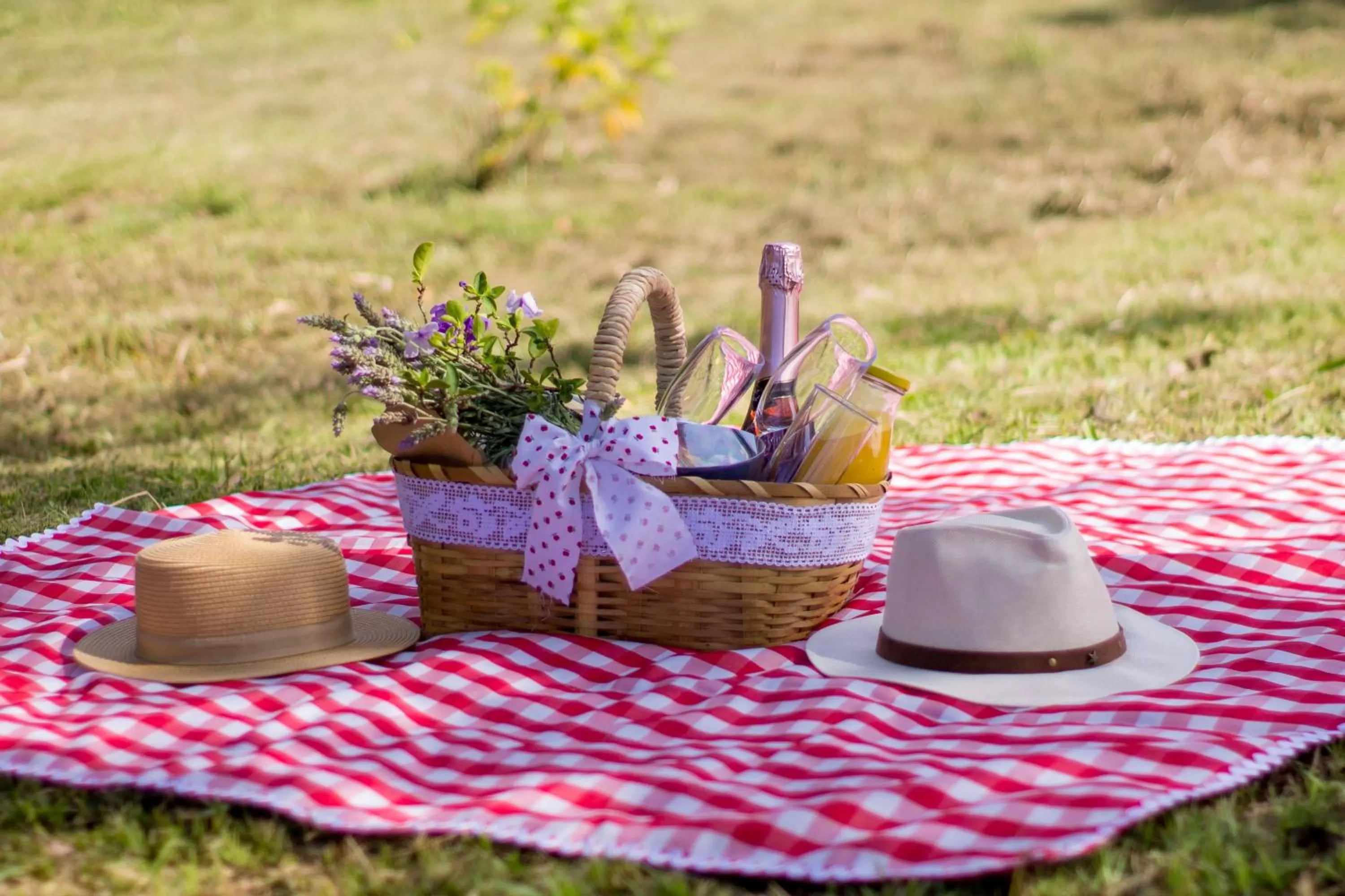 Garden in Hotel Resort e Golfe Clube dos 500