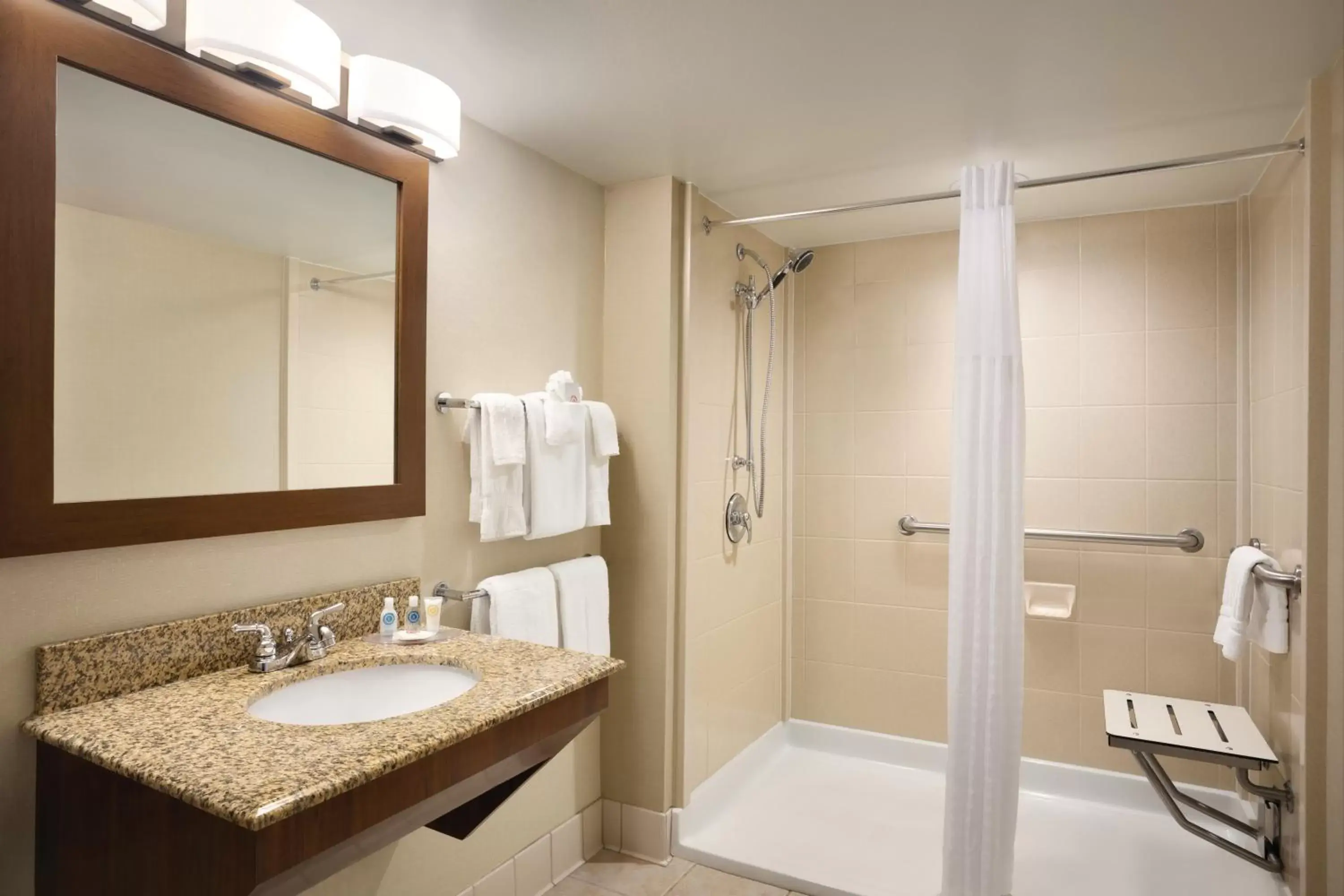 Bathroom in Comfort Inn & Suites Presidential