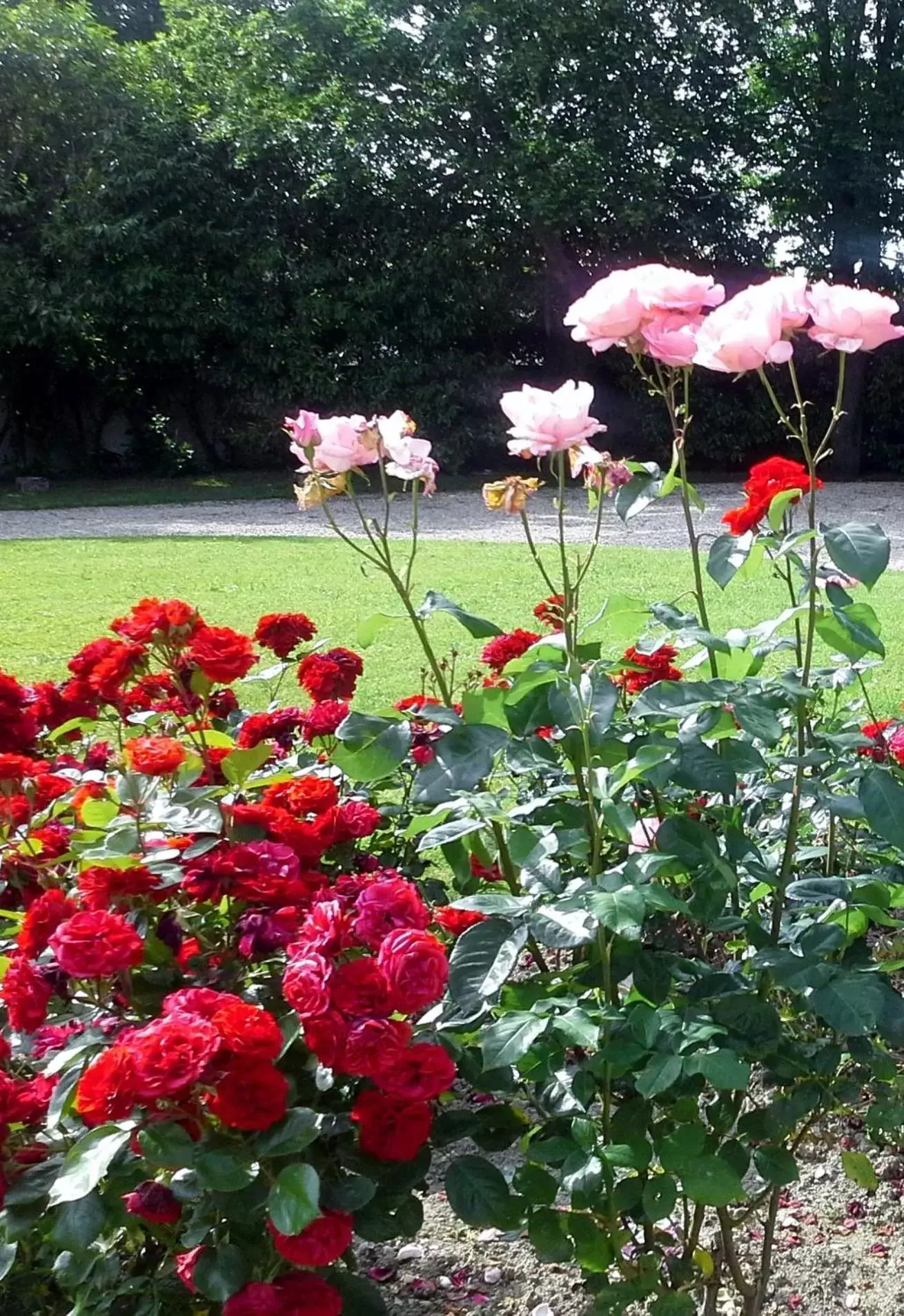 Garden in Le Logis De Ruelle