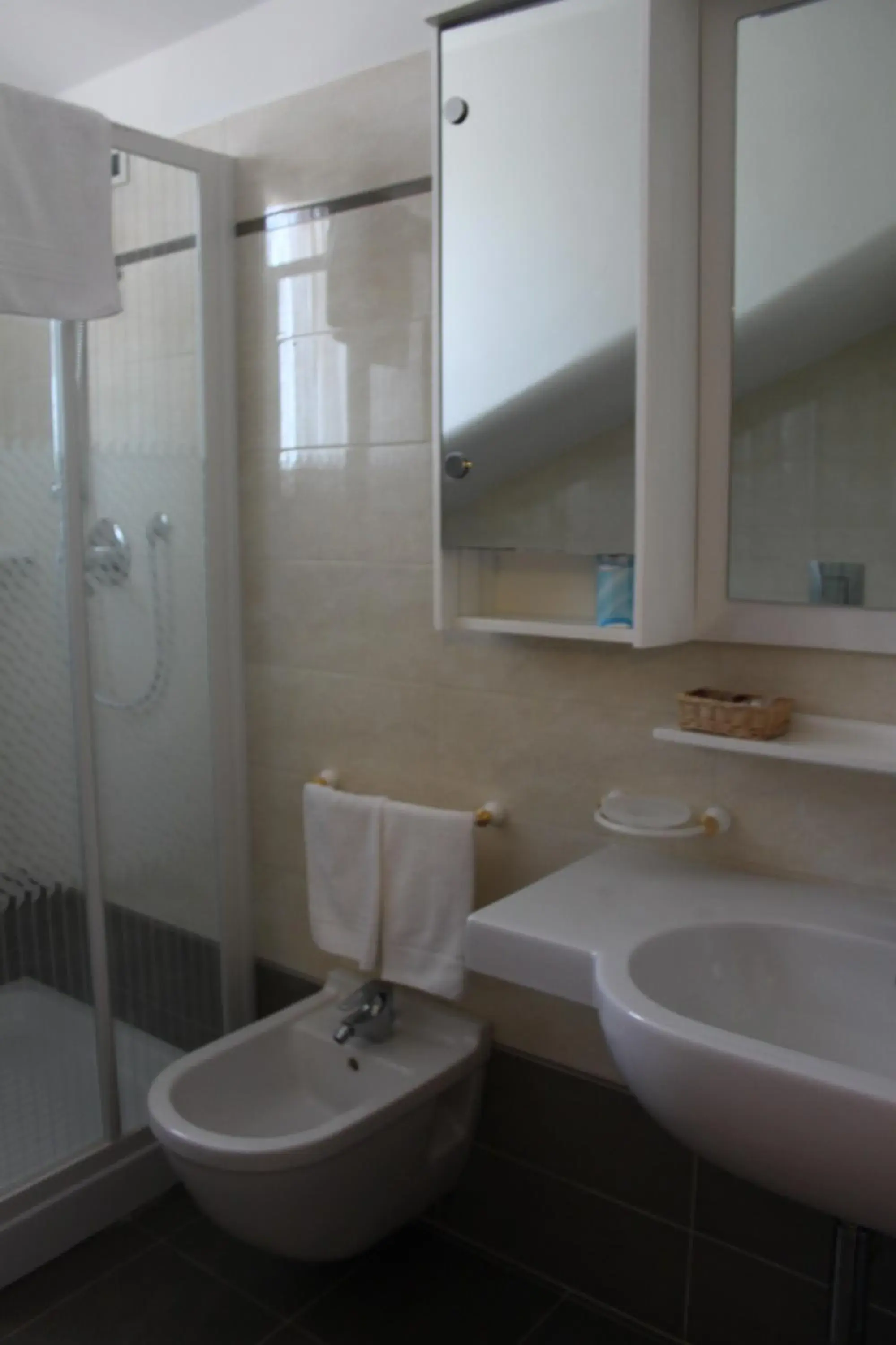 Shower, Bathroom in Hotel Girasole