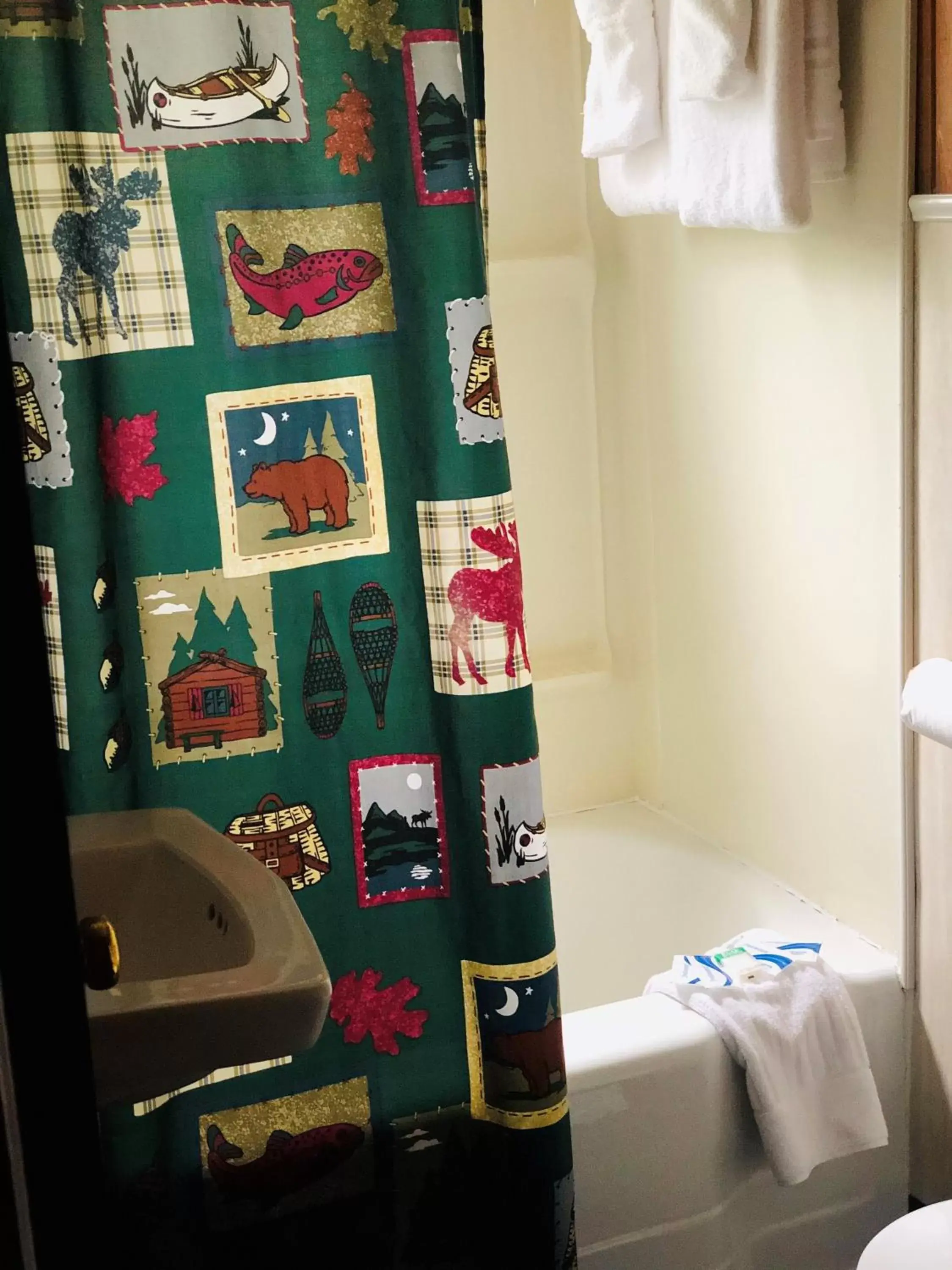 Bathroom in The Evening Shade River Lodge and Cabins