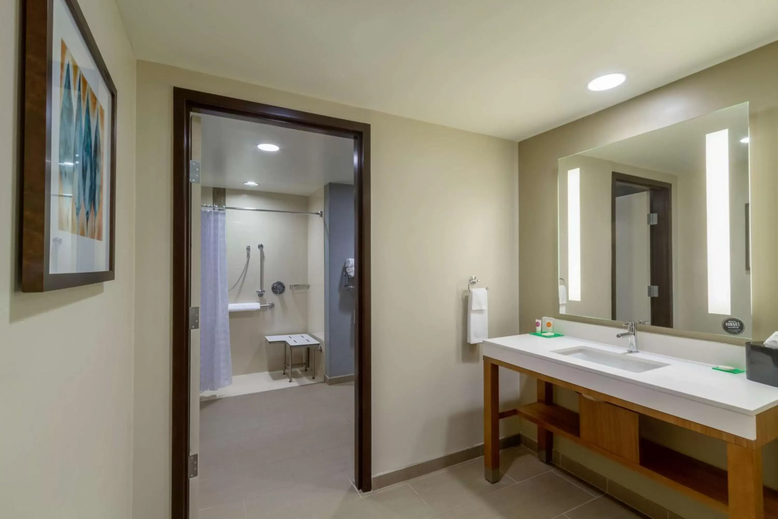 Bathroom in Hyatt Place Blacksburg/University