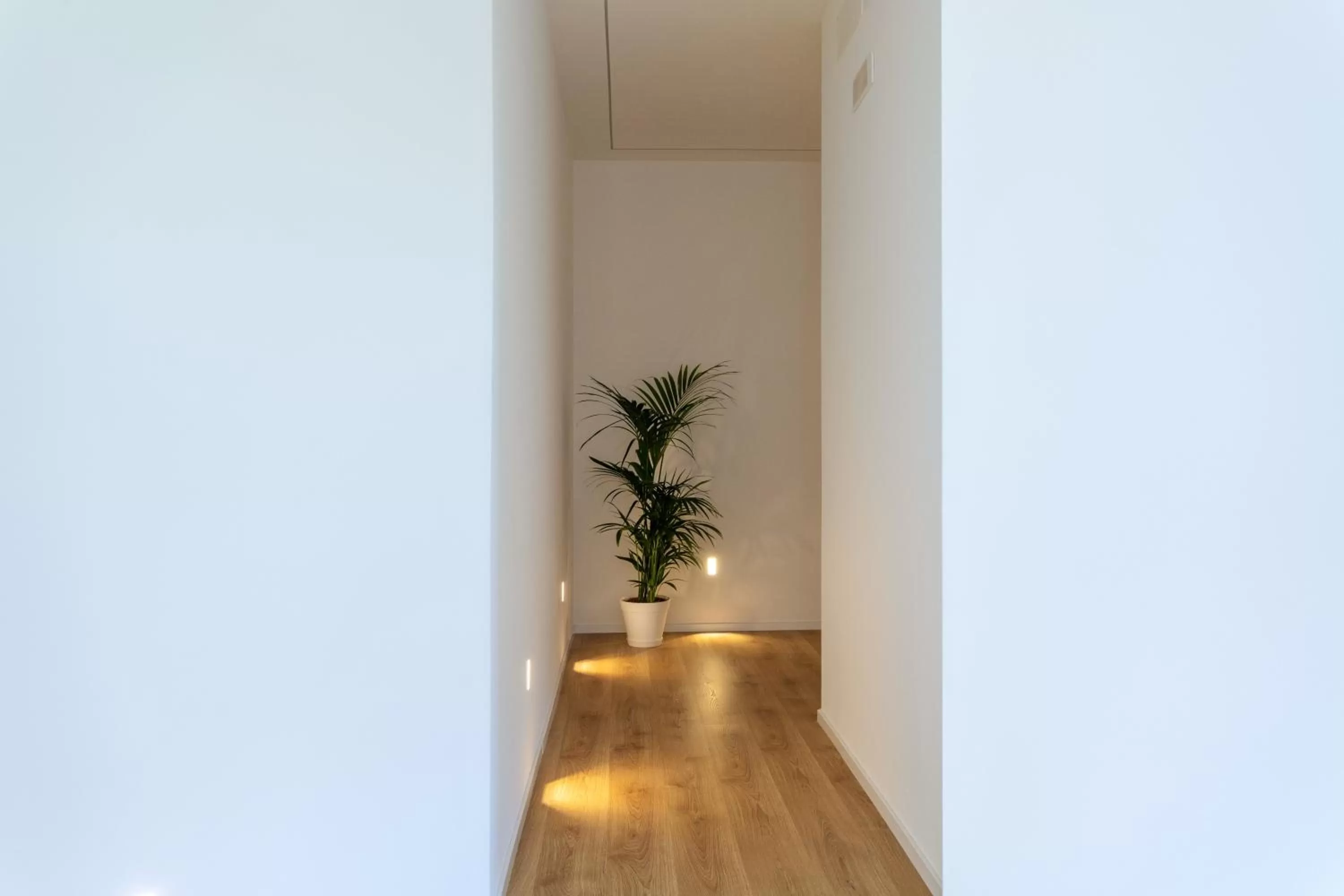 Communal lounge/ TV room in Mori's b&b