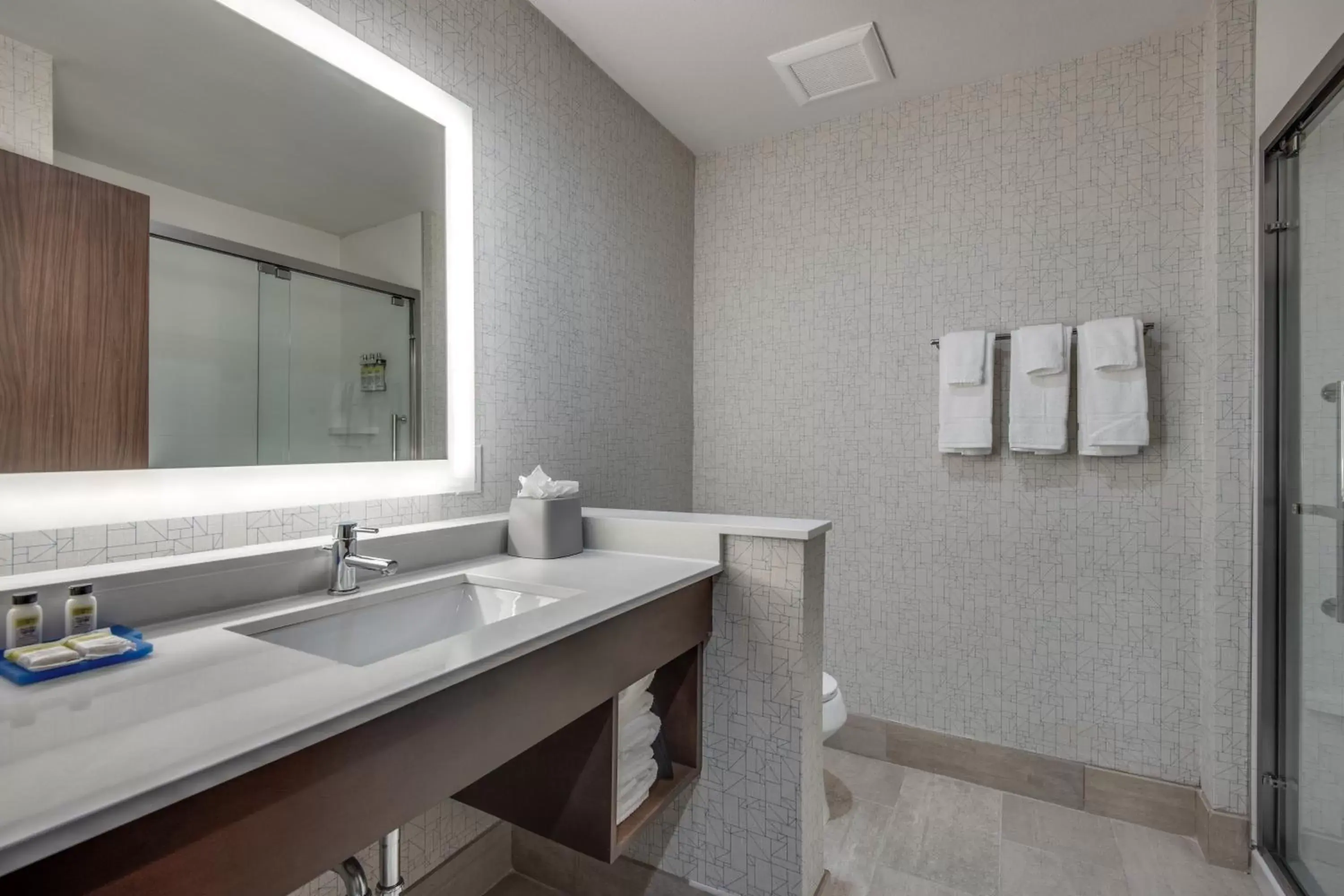 Bathroom in Holiday Inn Express & Suites Dallas North - Addison, an IHG Hotel