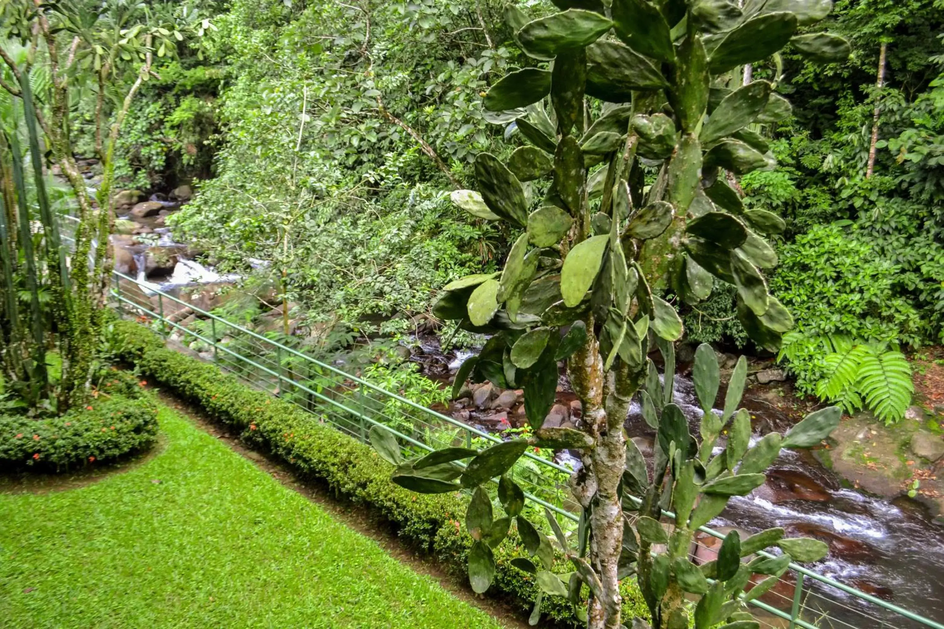 Area and facilities, Garden in El Tucano Resort & Thermal Spa