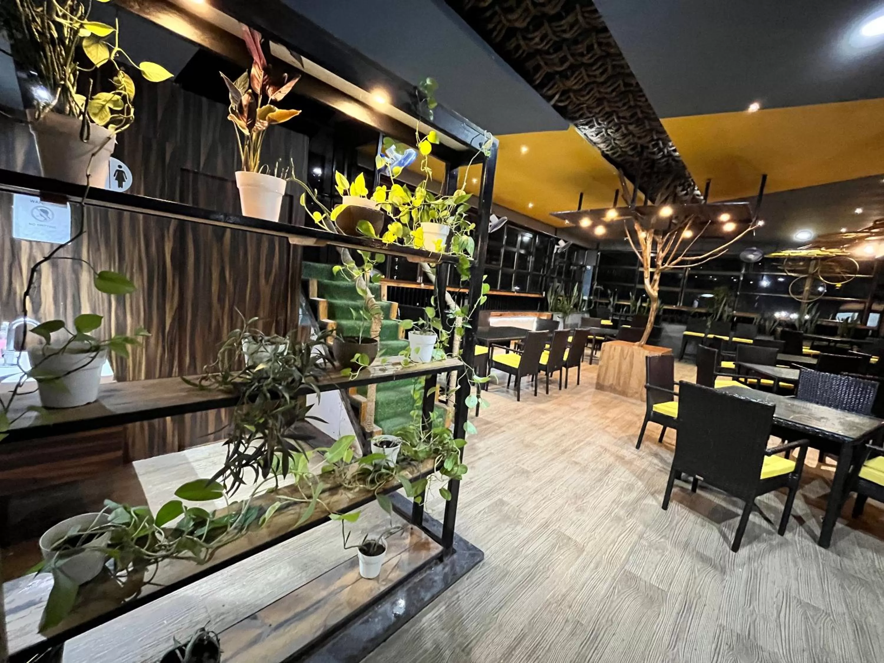 Restaurant/places to eat in RJB Grand