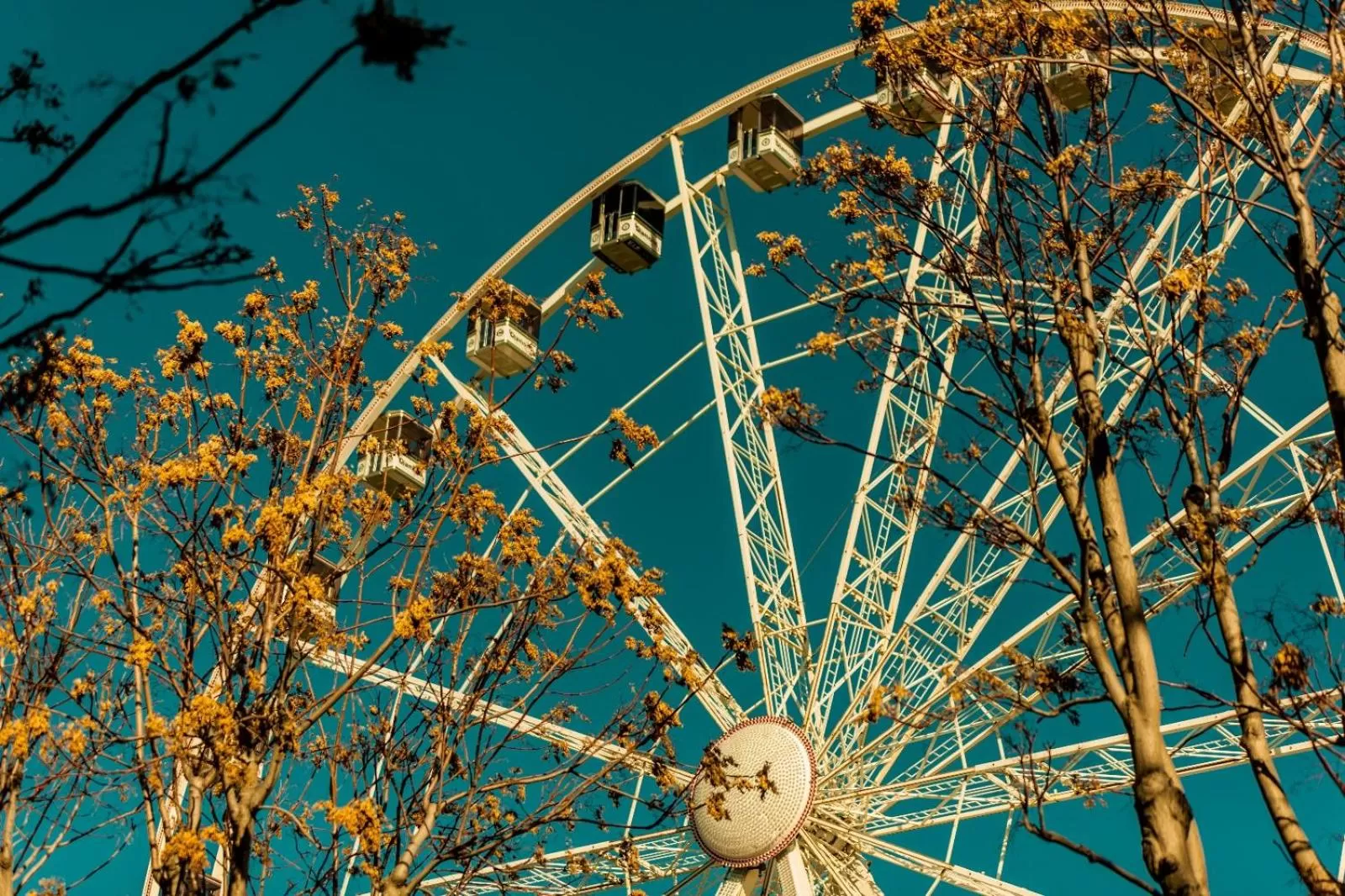 Activities in Travel B&B