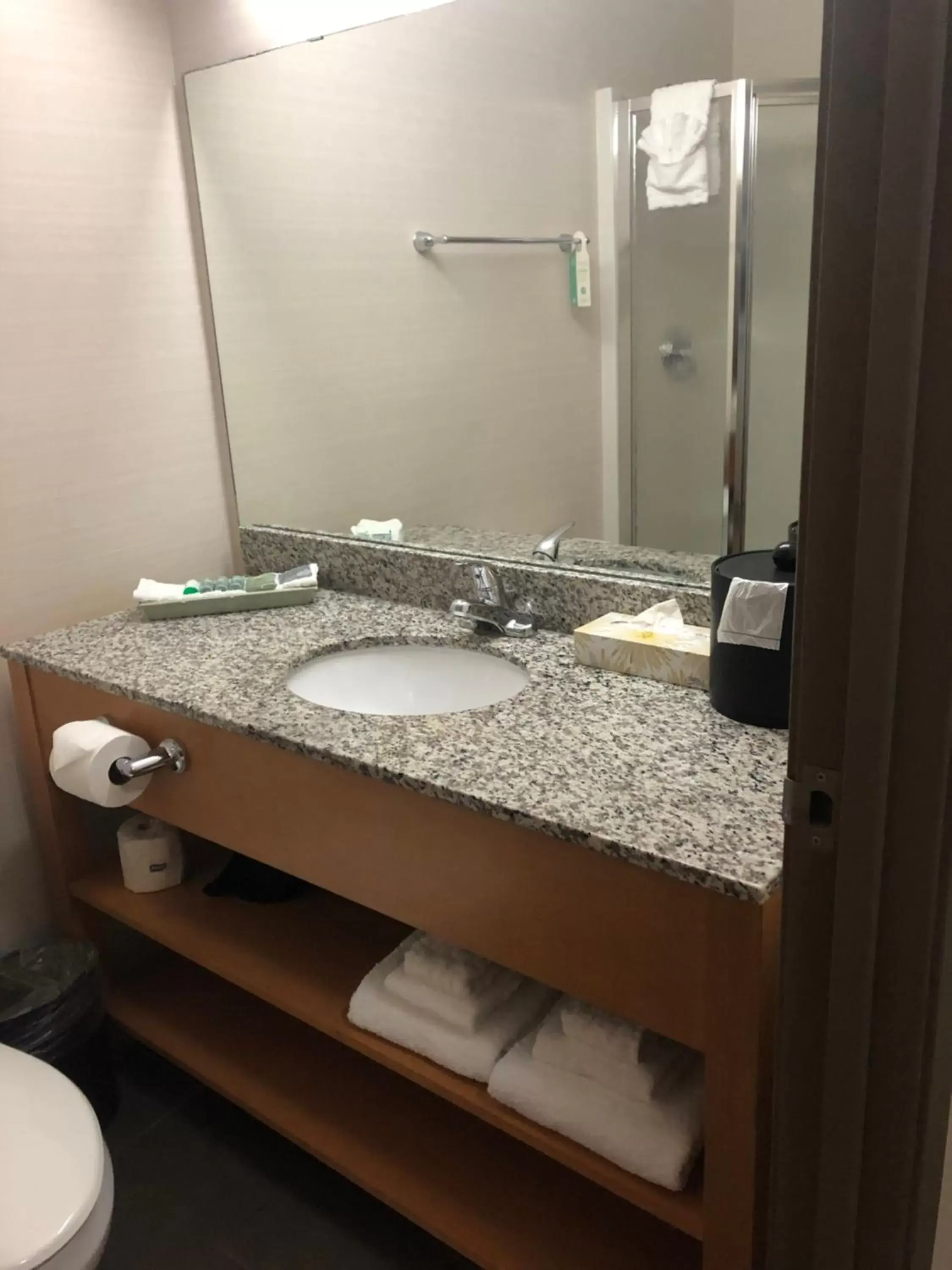 Bathroom in Best Western Grande Prairie