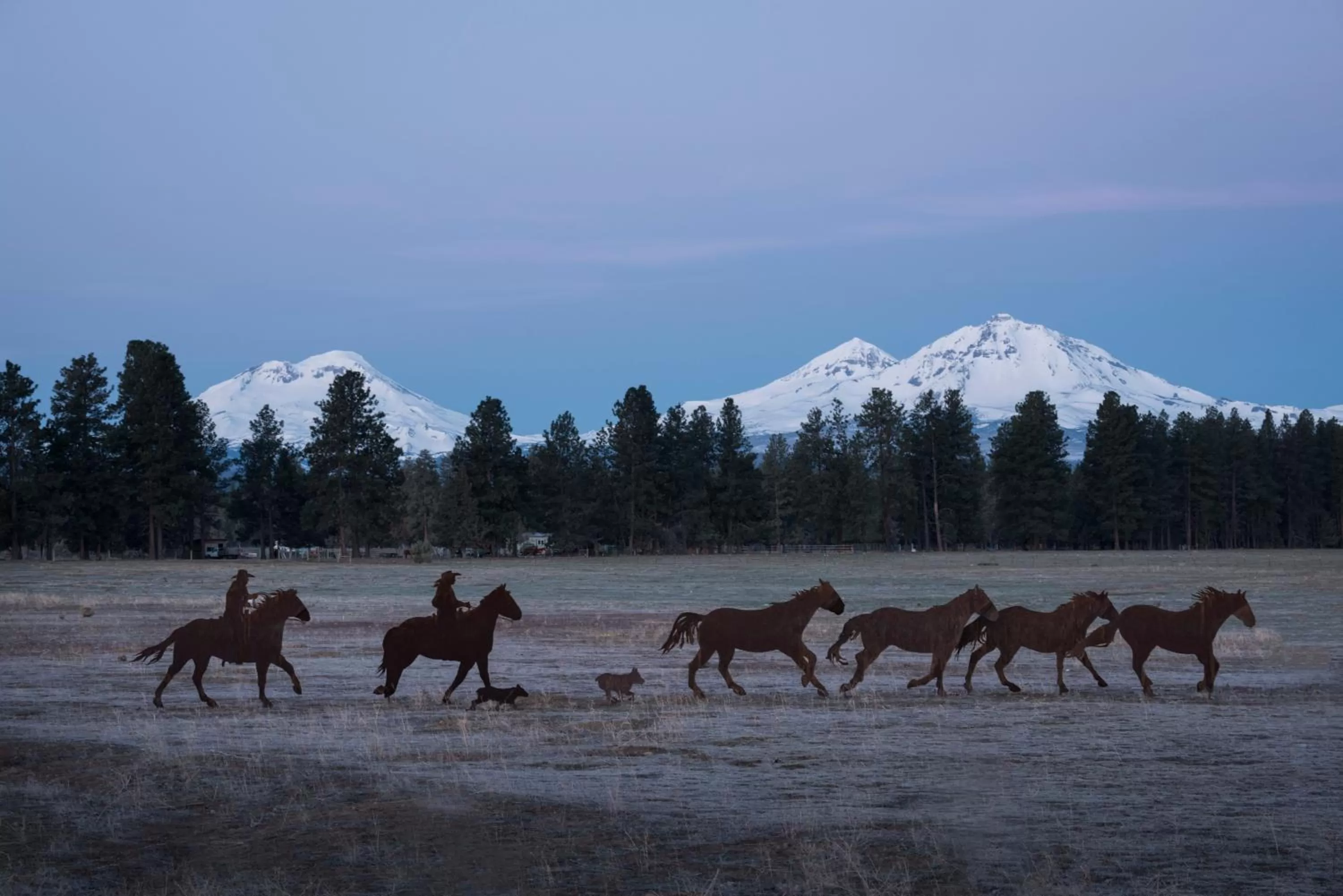 GrandStay Hotel & Suites