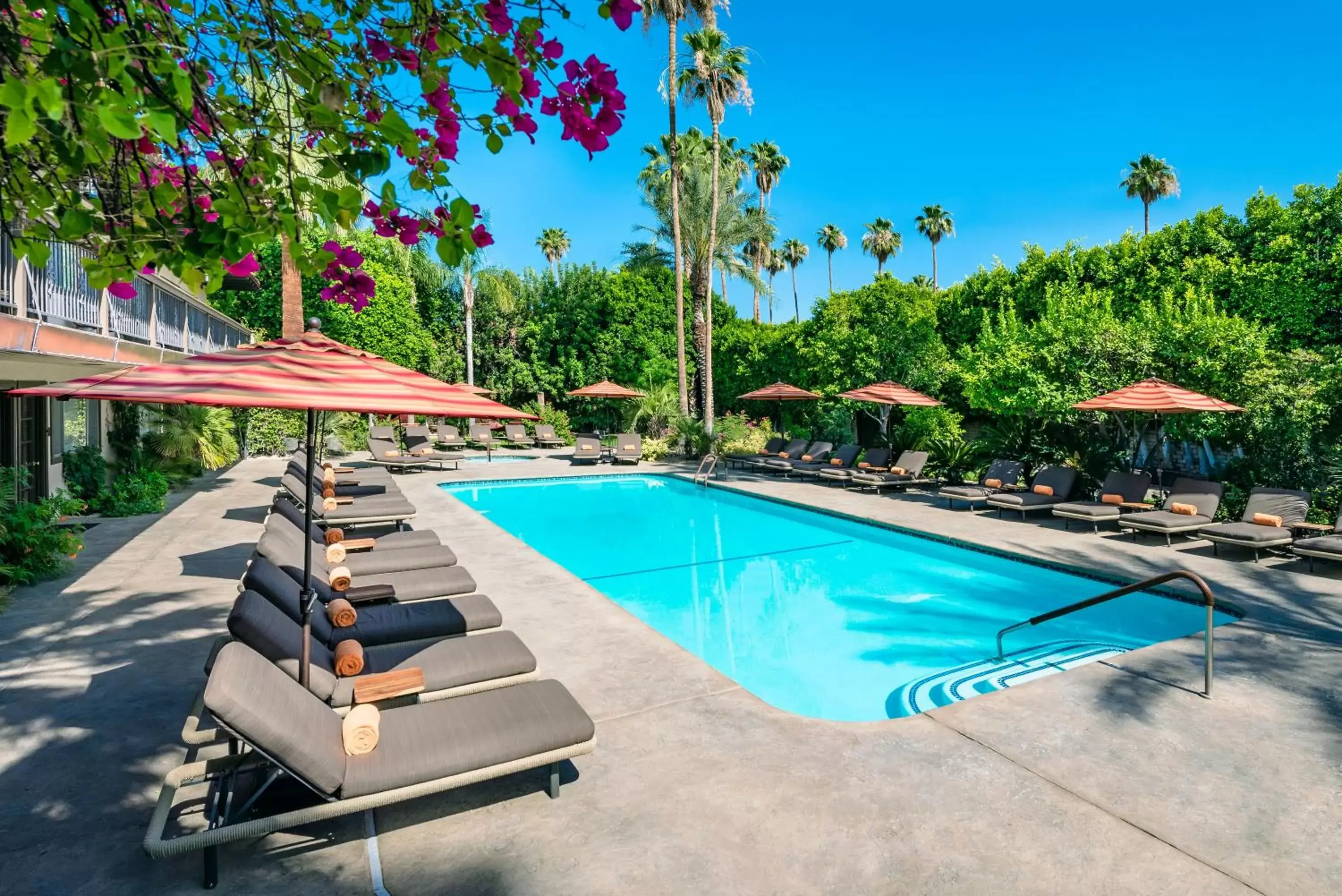 Swimming Pool in Santiago Resort - Palm Springs Premier Gay Men’s Resort