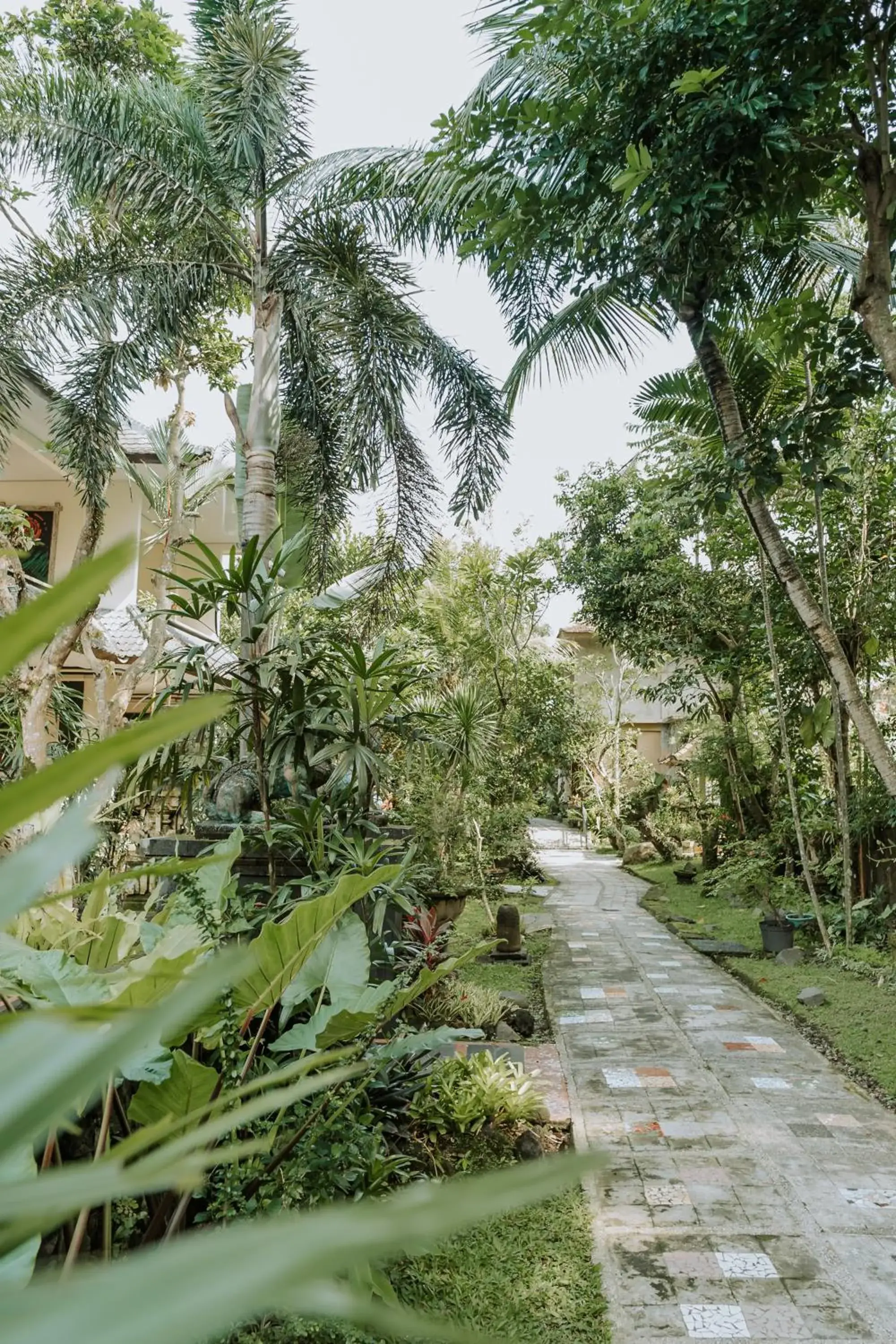 Garden in Dewangga Ubud