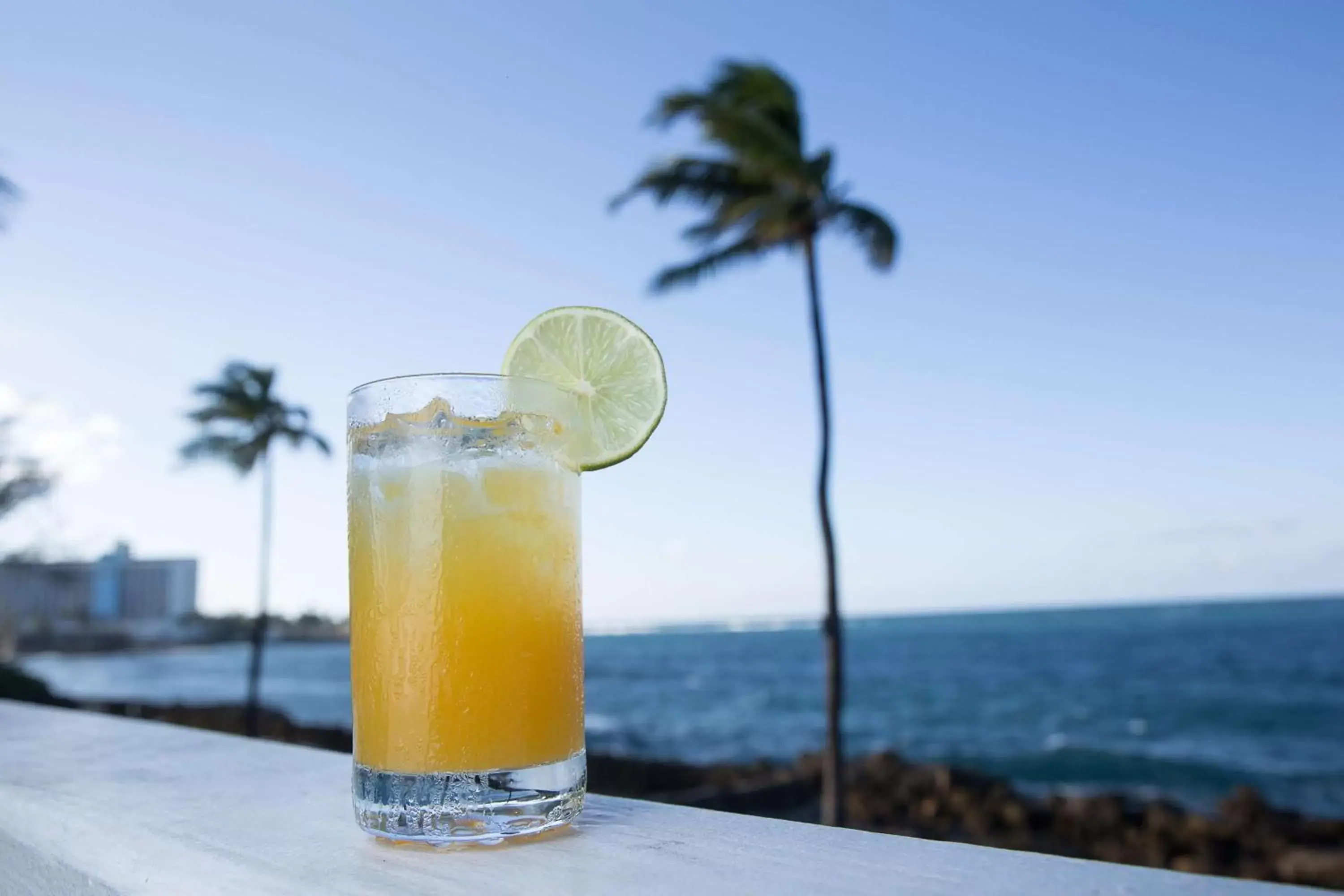 Lounge or bar in The Condado Plaza Hilton