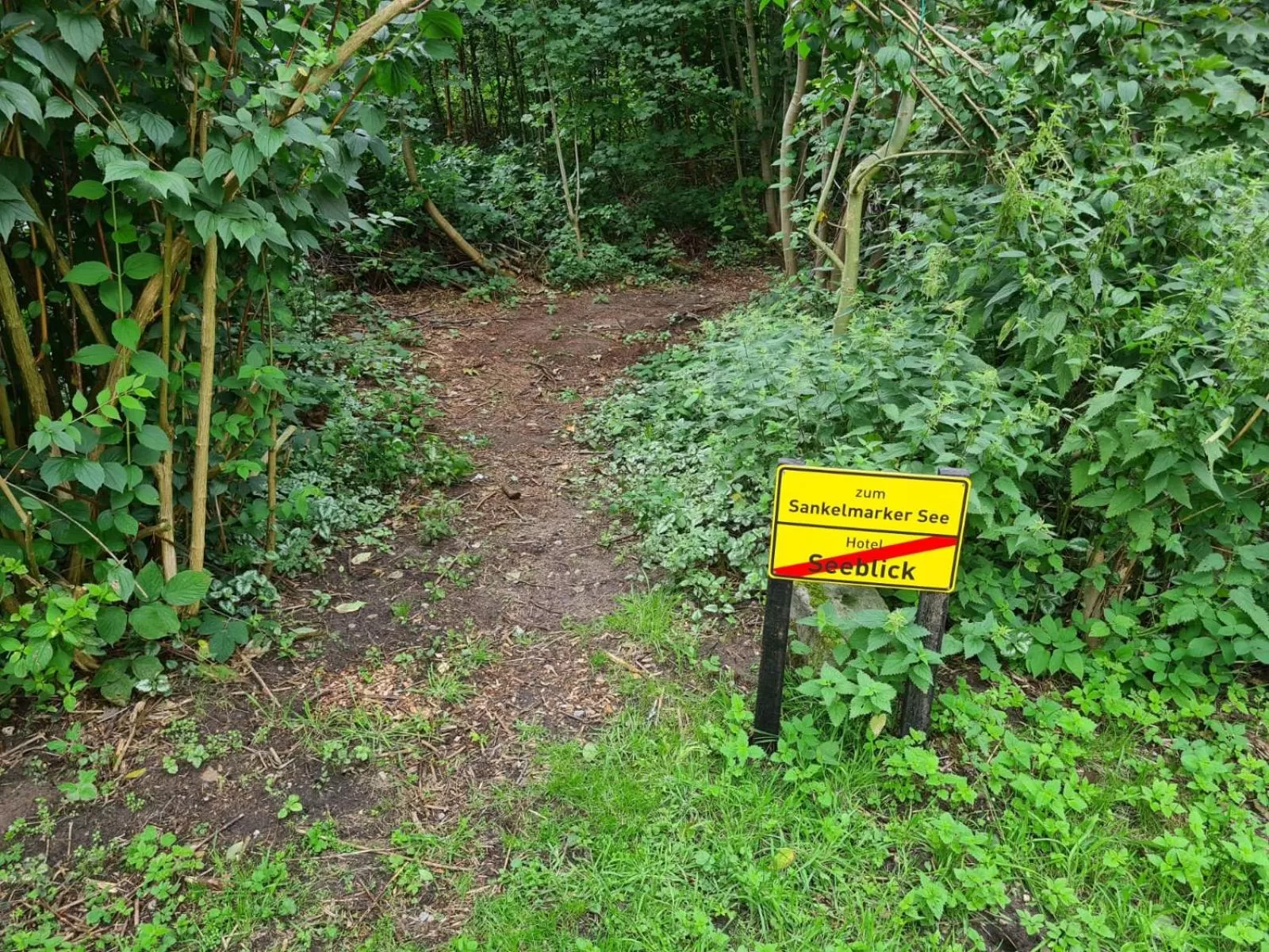 Nearby landmark in Hotel Seeblick am Sankelmarker See - Natur und Erholung