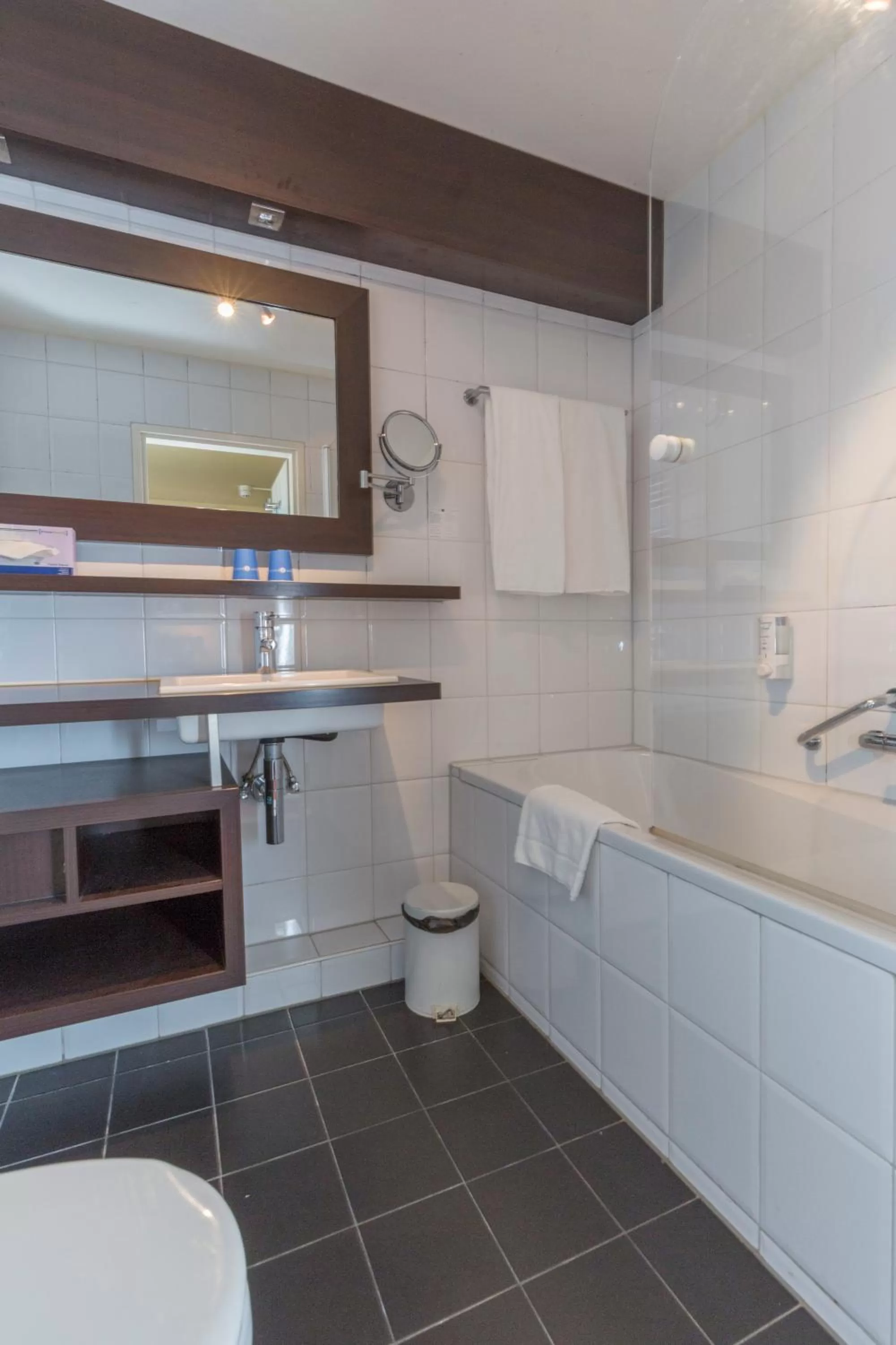 Bathroom in Fletcher Hotel-Restaurant Kasteel Erenstein