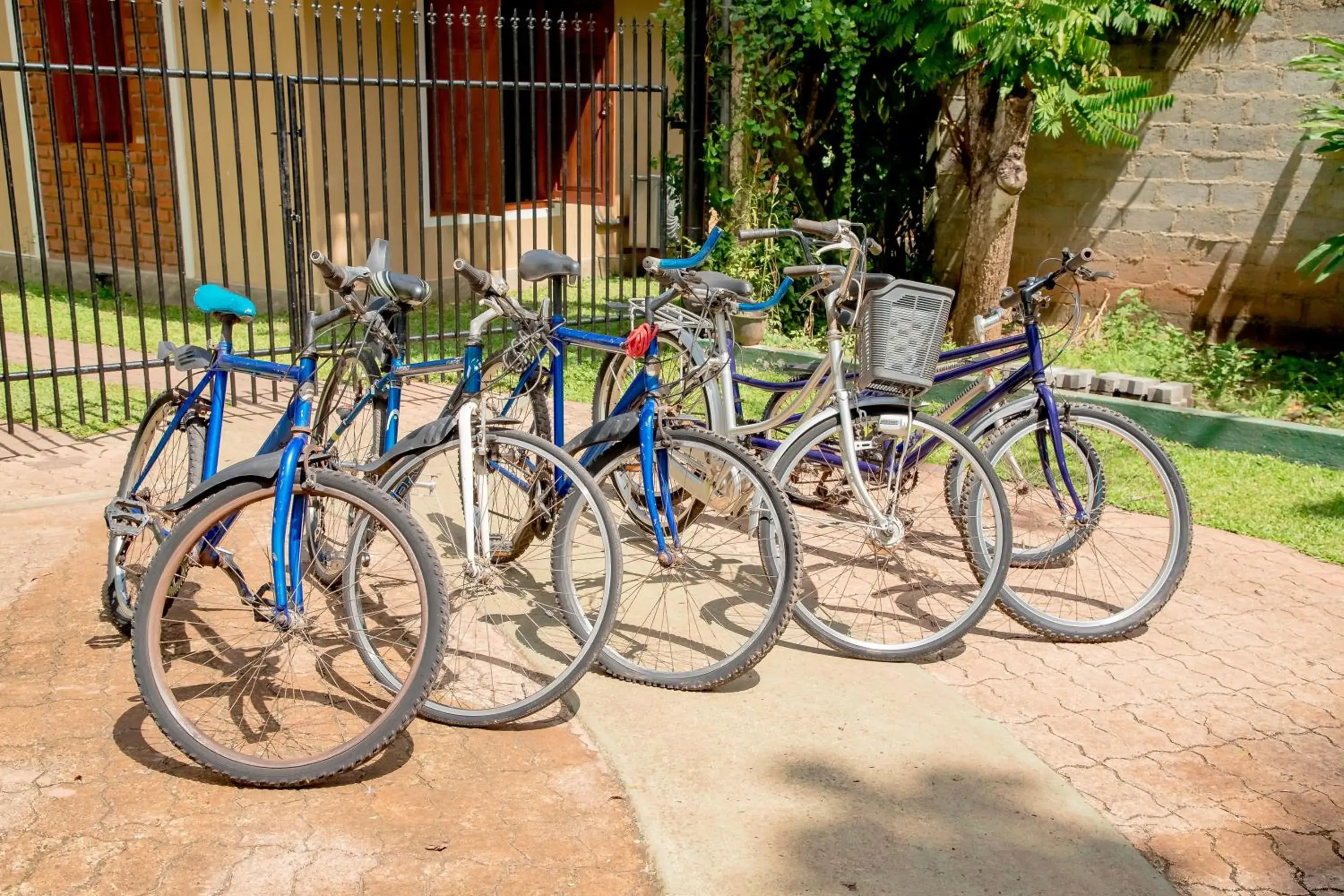 Activities, Biking in Villa Shade