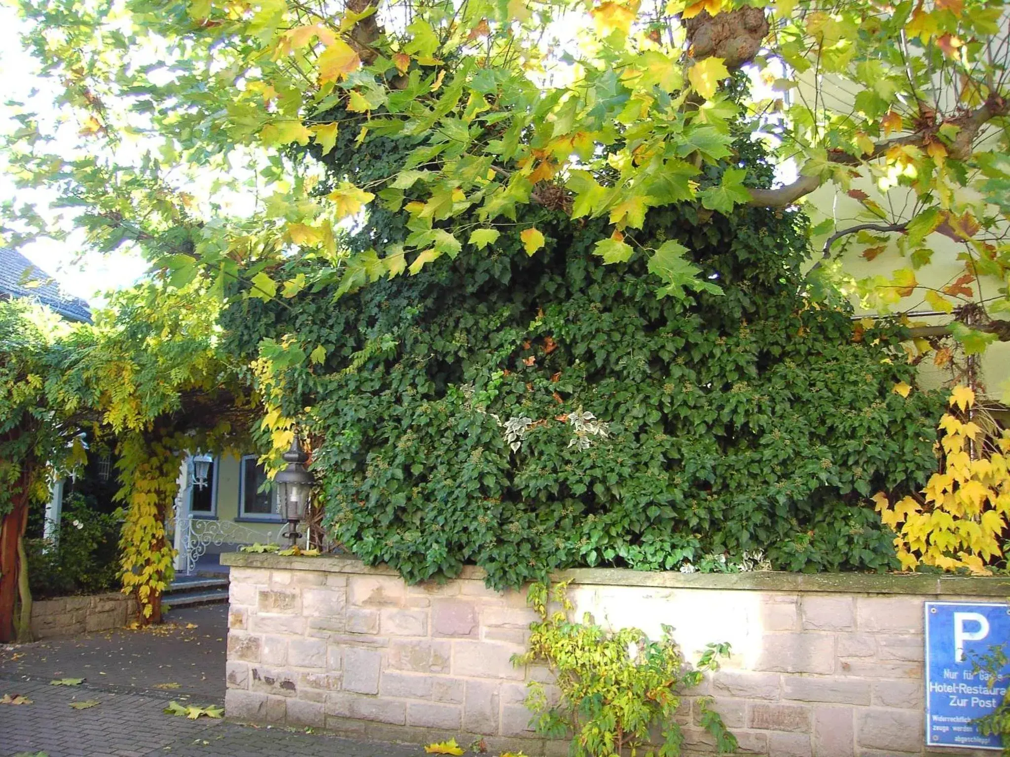 Garden, Property Building in Hotel Die Post