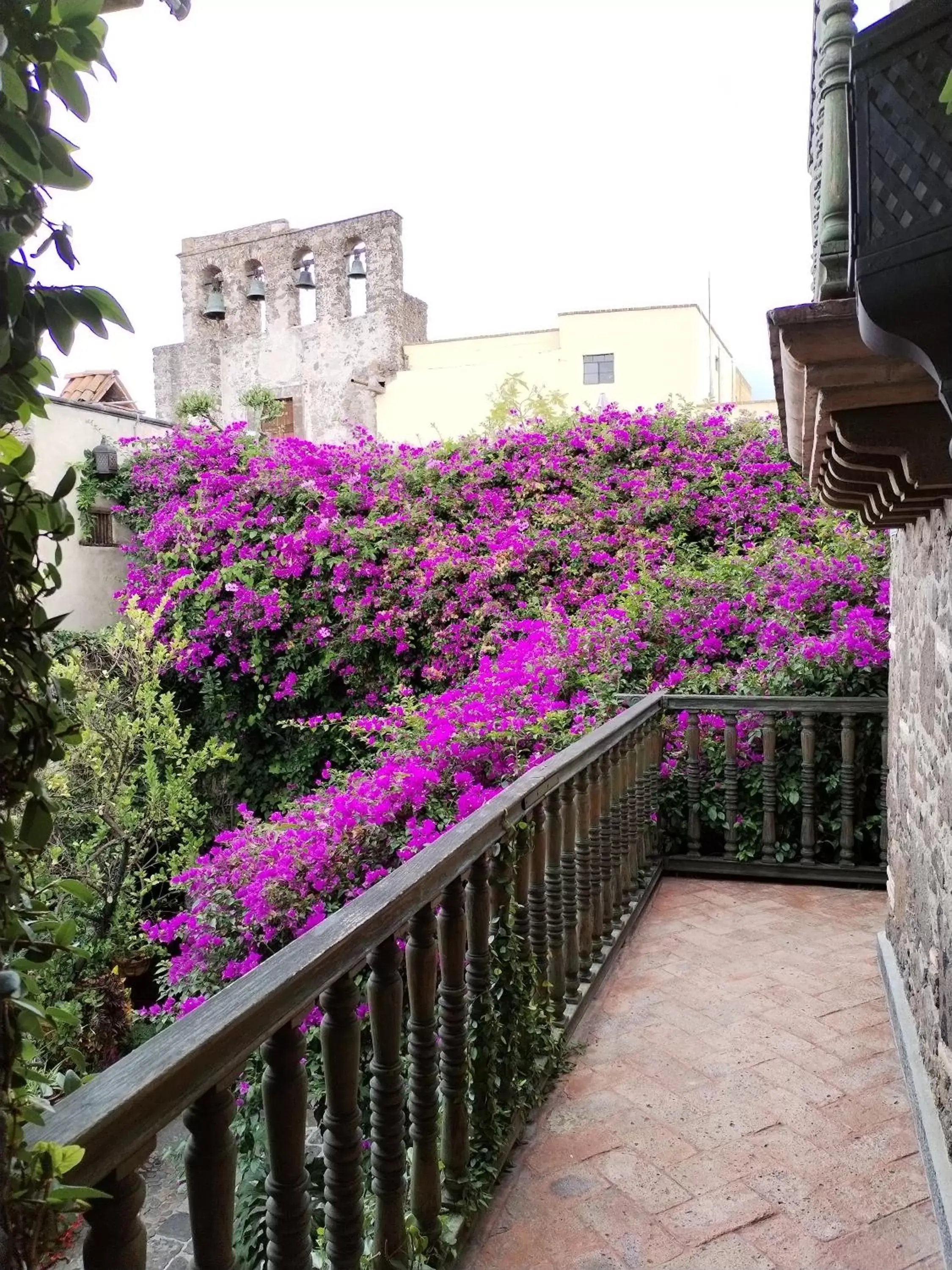 Bird's eye view in Hacienda Las Amantes