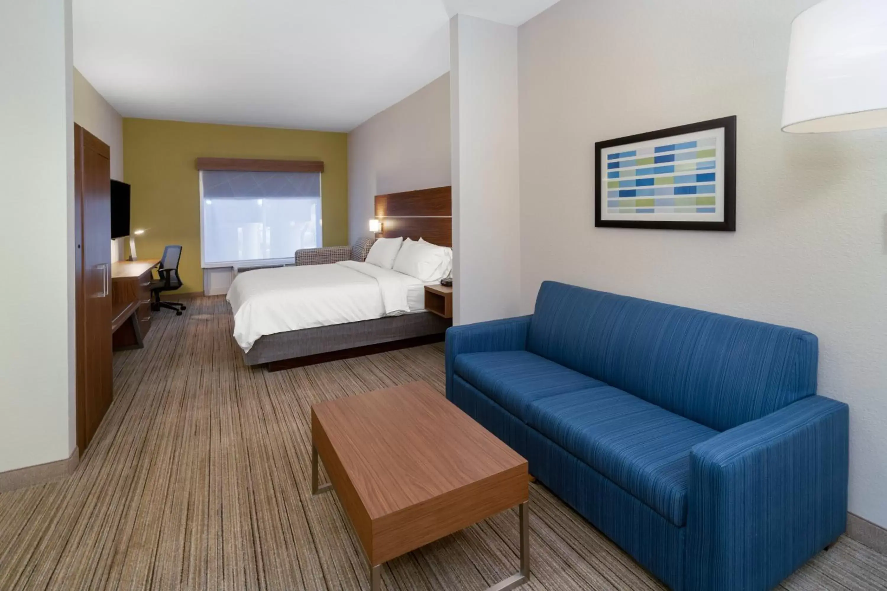 Photo of the whole room in Holiday Inn Express Hotel & Suites Talladega, an IHG Hotel