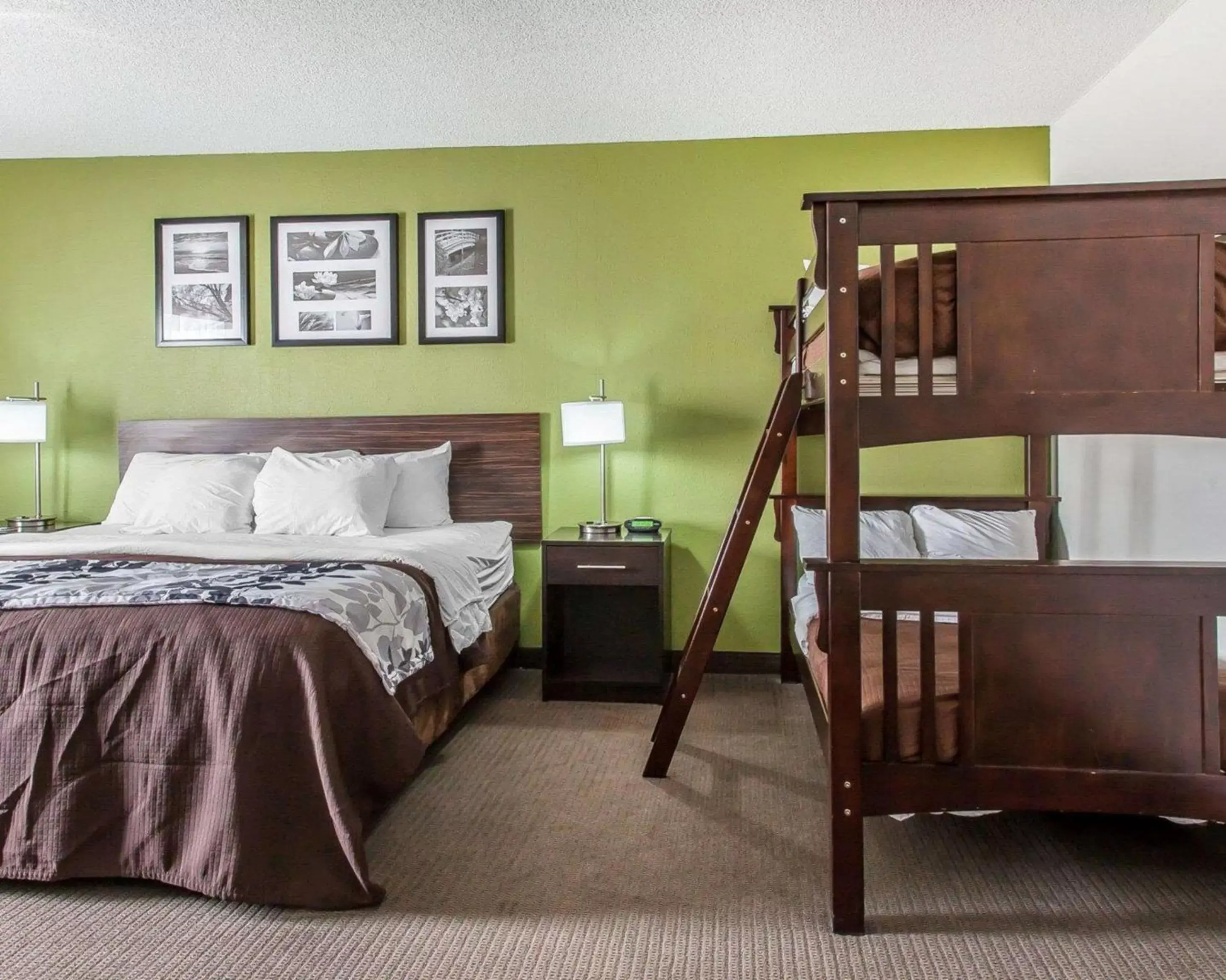 Photo of the whole room, Bed in Sleep Inn & Suites Near I-90 and Ashtabula