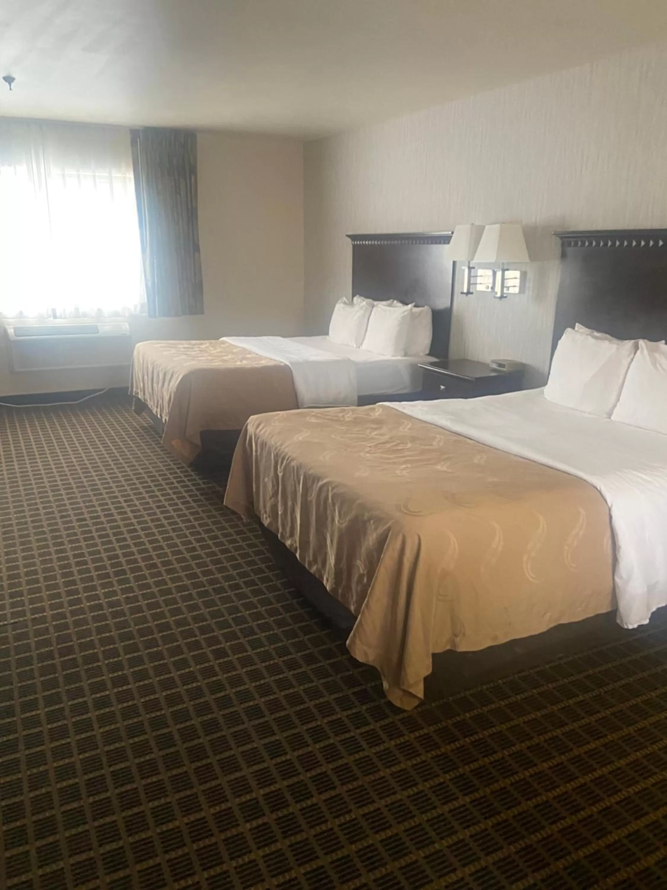 Deluxe Queen Room, Non-Smoking in Wingate by Wyndham Gunnison Near Western Colorado University