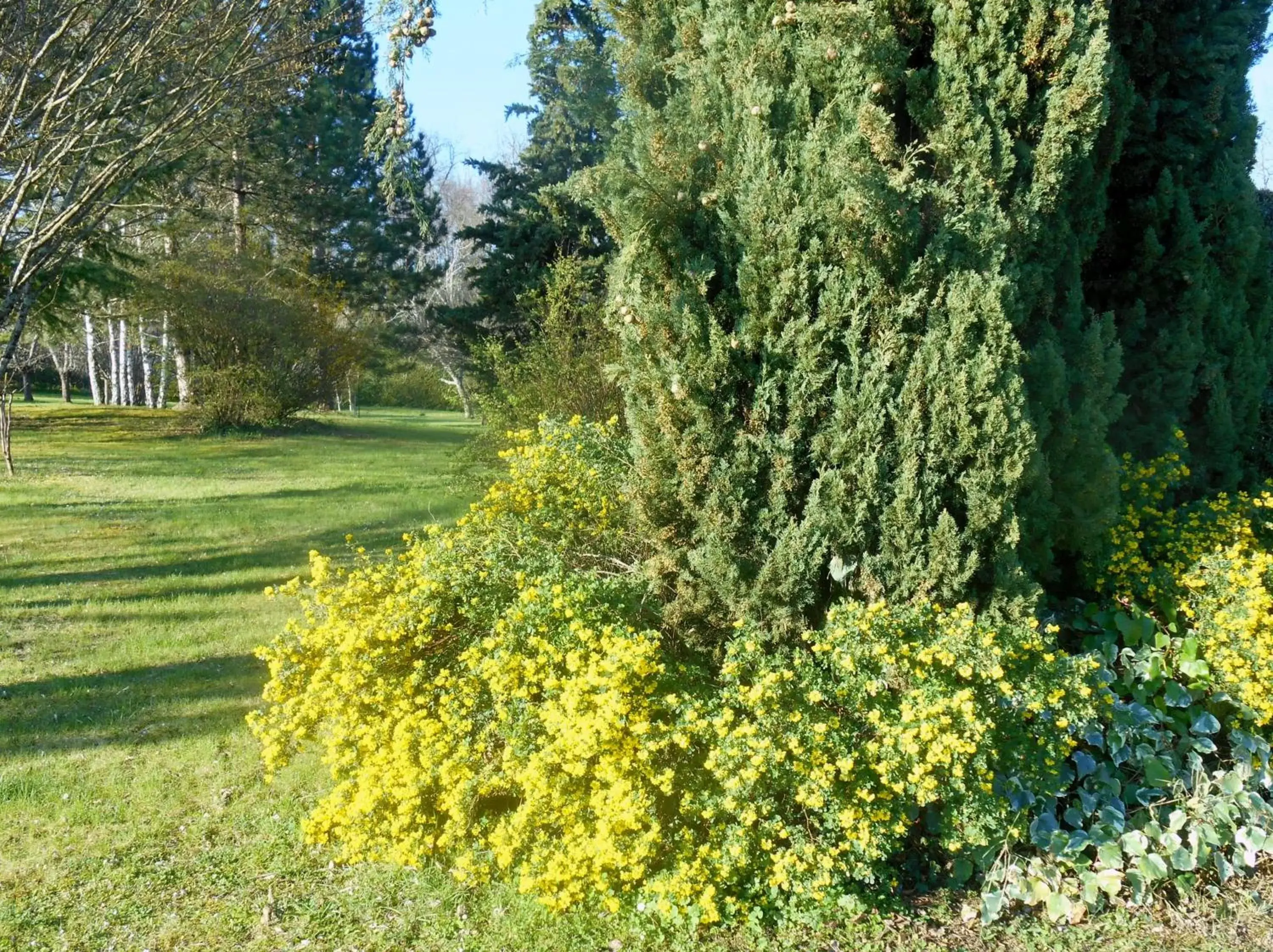 Garden in Le Colombier