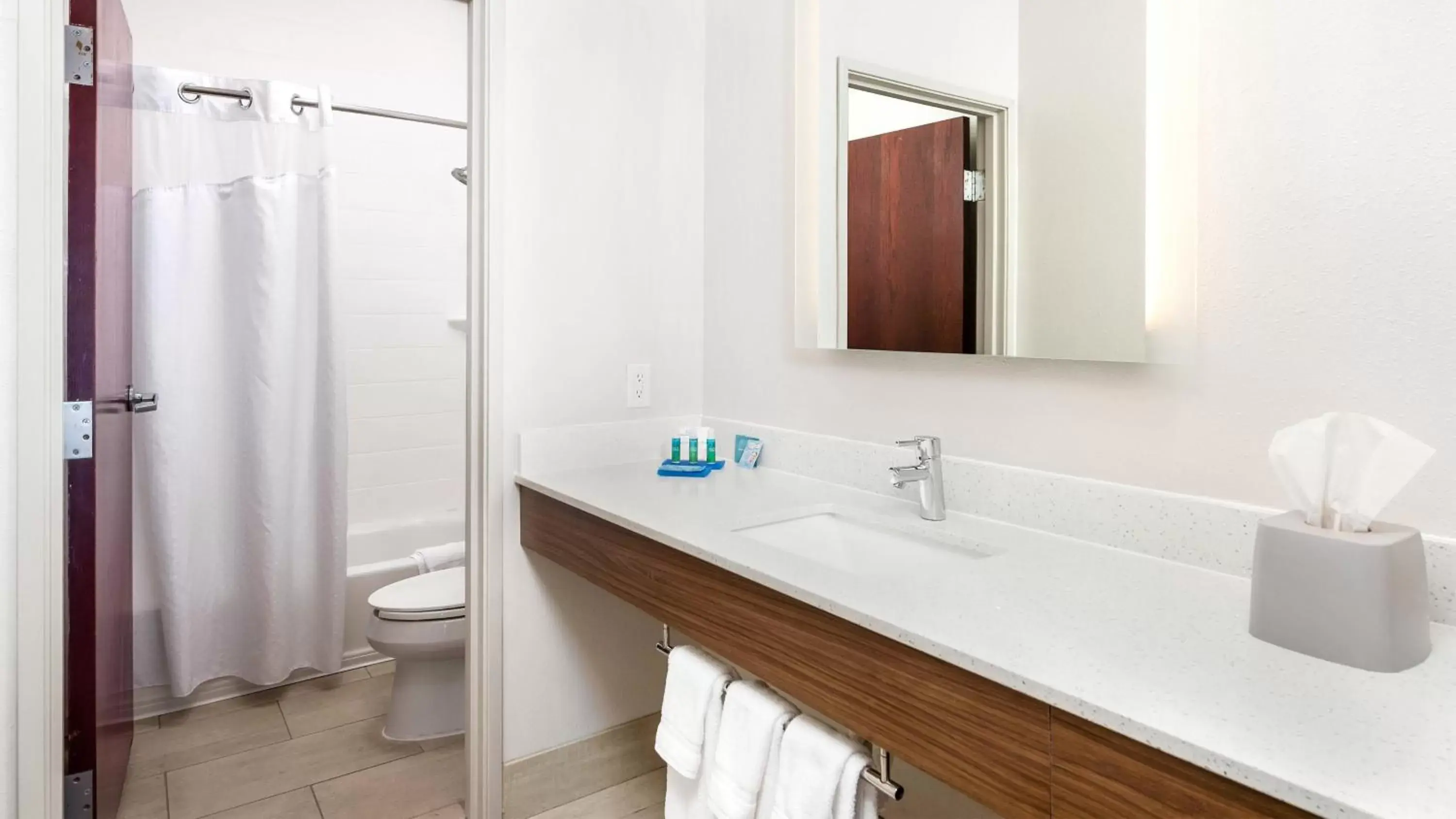 Bathroom in Holiday Inn Express Hotel and Suites Conroe, an IHG Hotel