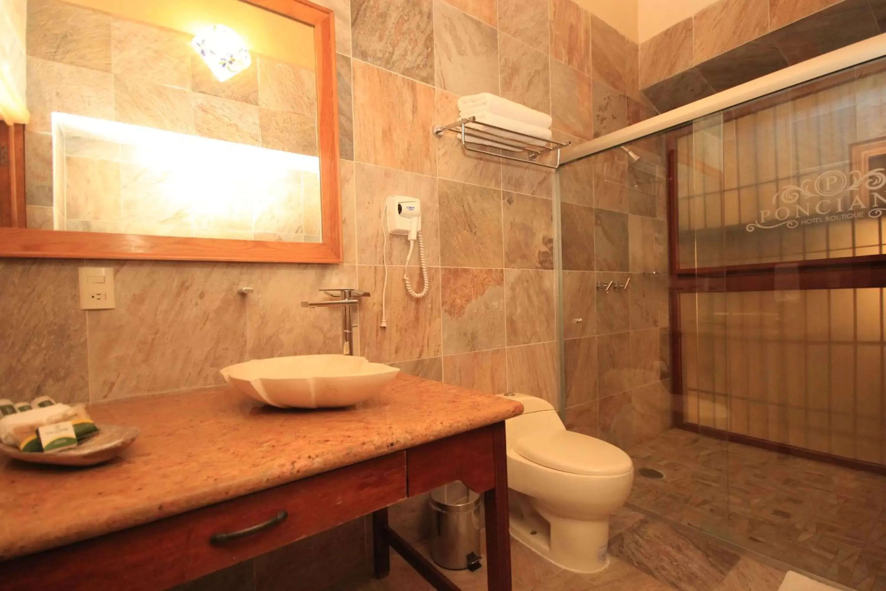 Shower, Bathroom in Hotel Boutique Ponciano