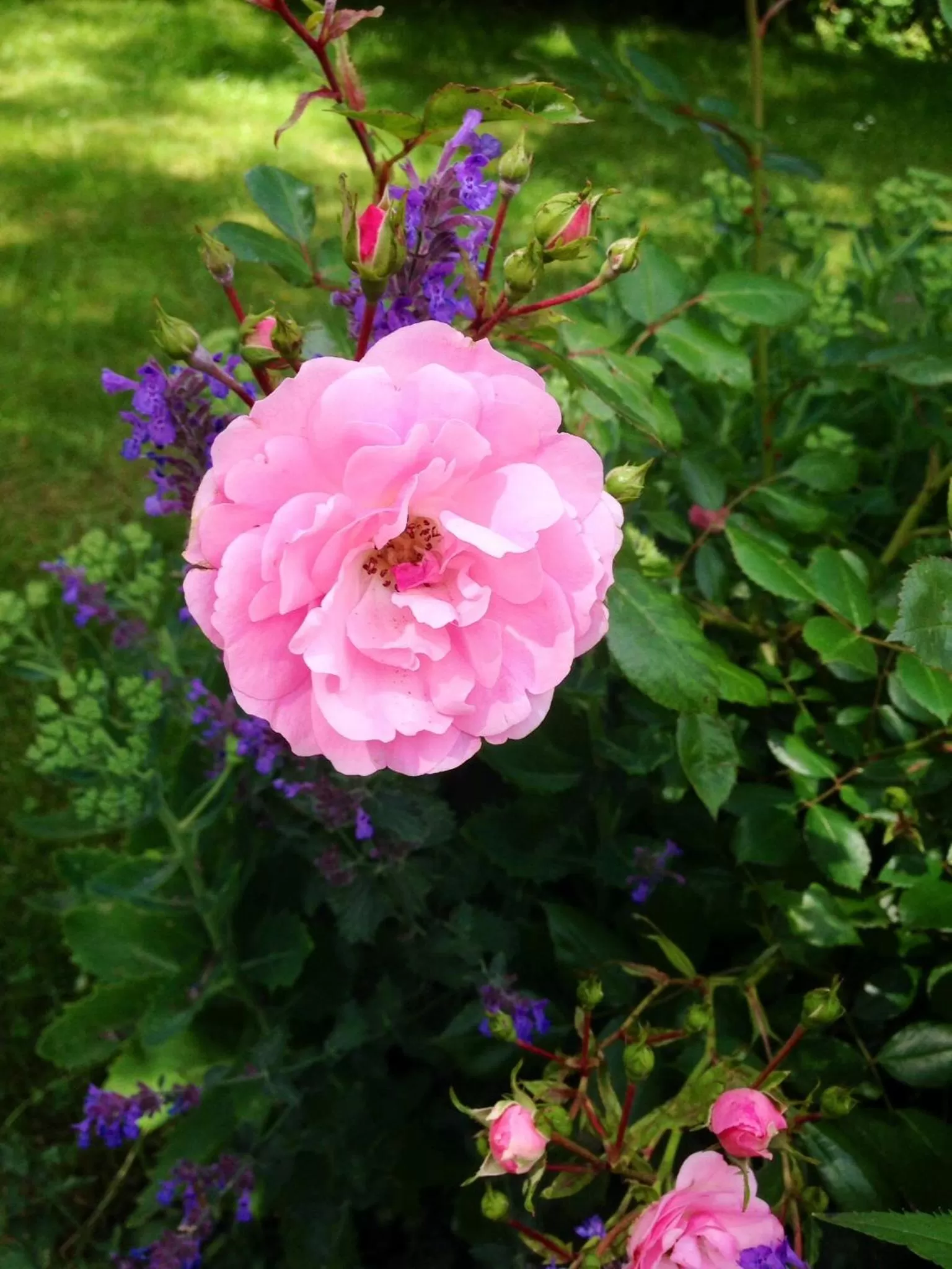 Day in Aurora Bed & Breakfast