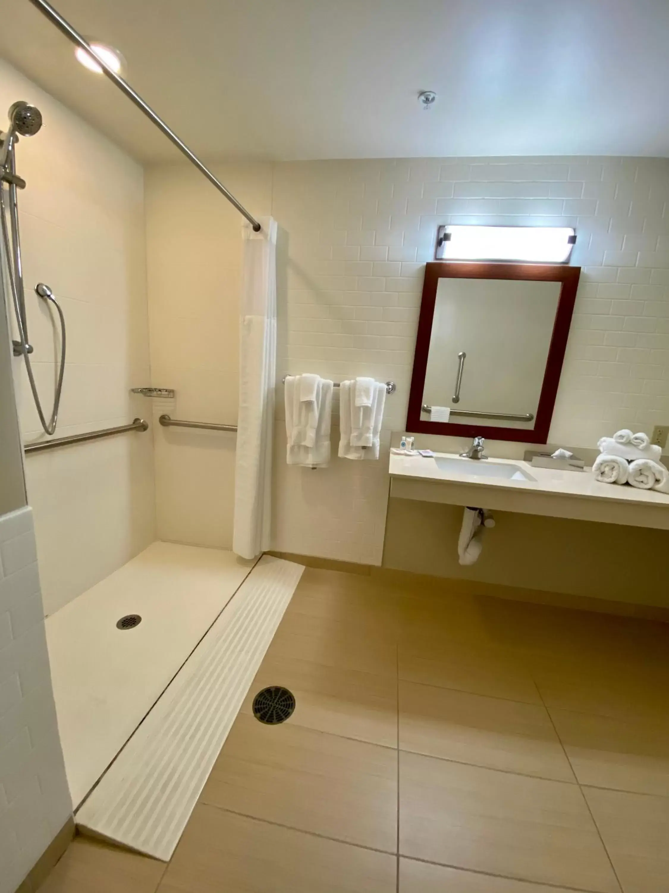 Bathroom in Comfort Suites Manheim - Lancaster