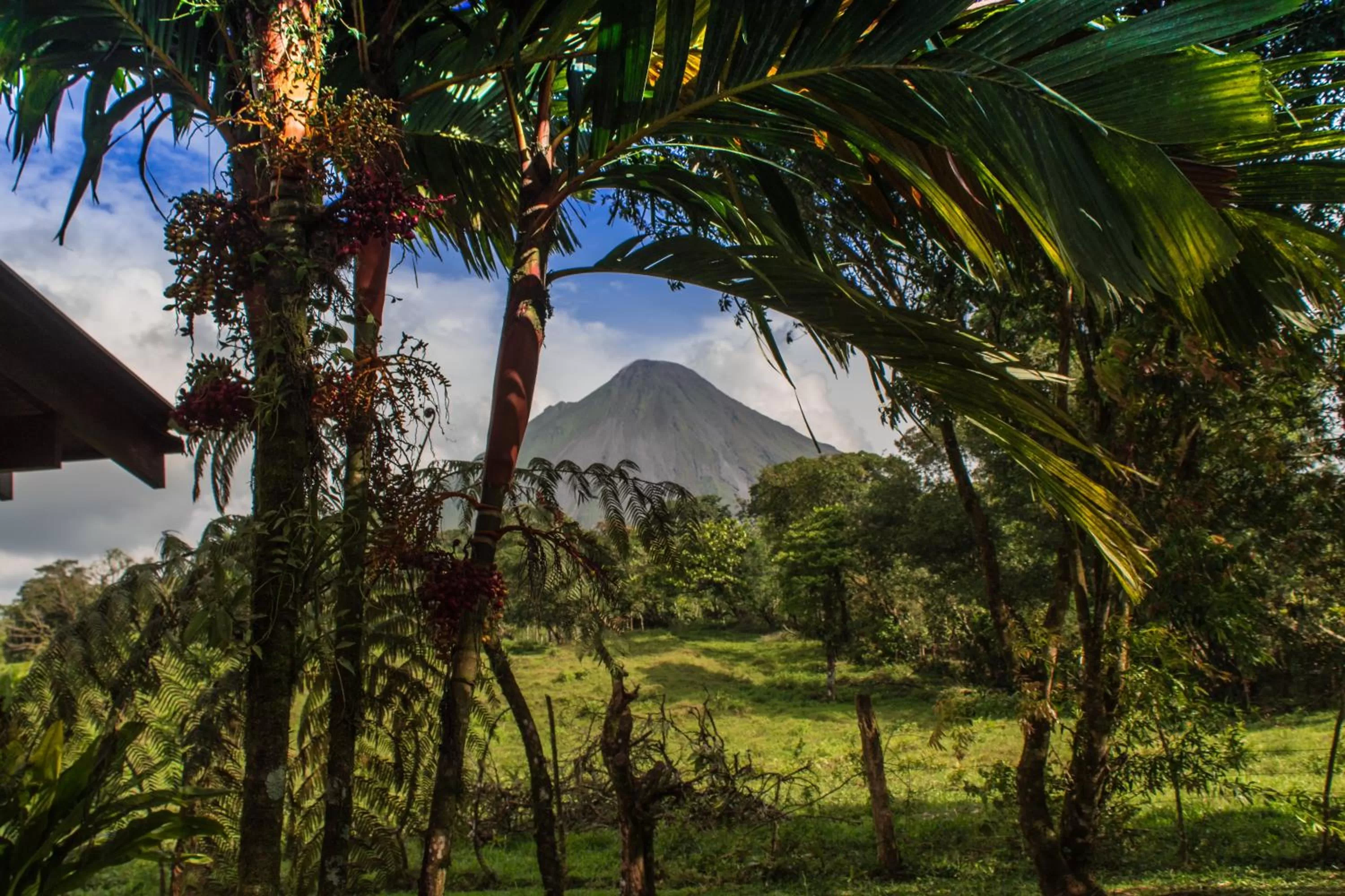 Mountain view in Confort Arenal