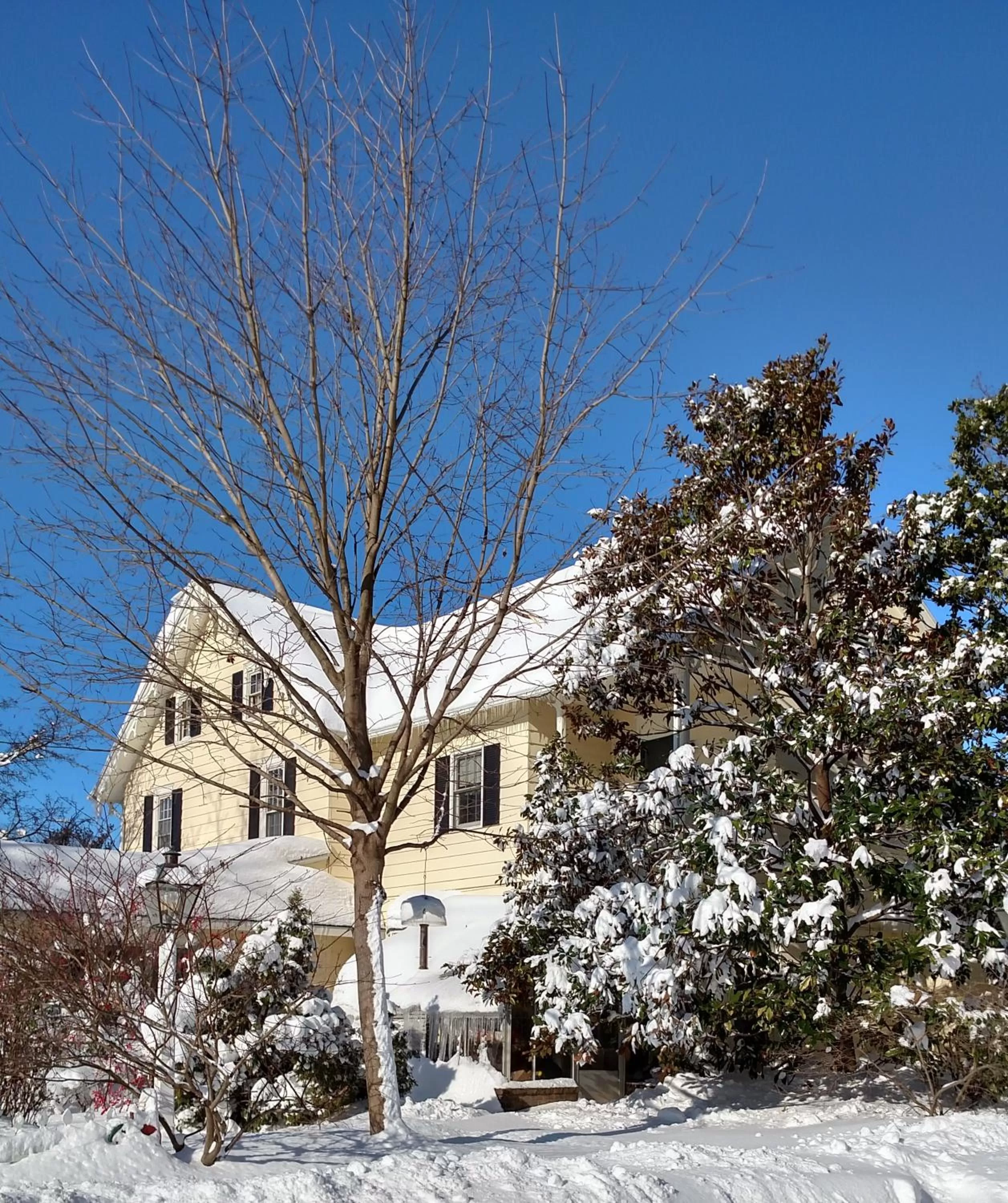 Facade/entrance, Winter in Apple Bin Inn