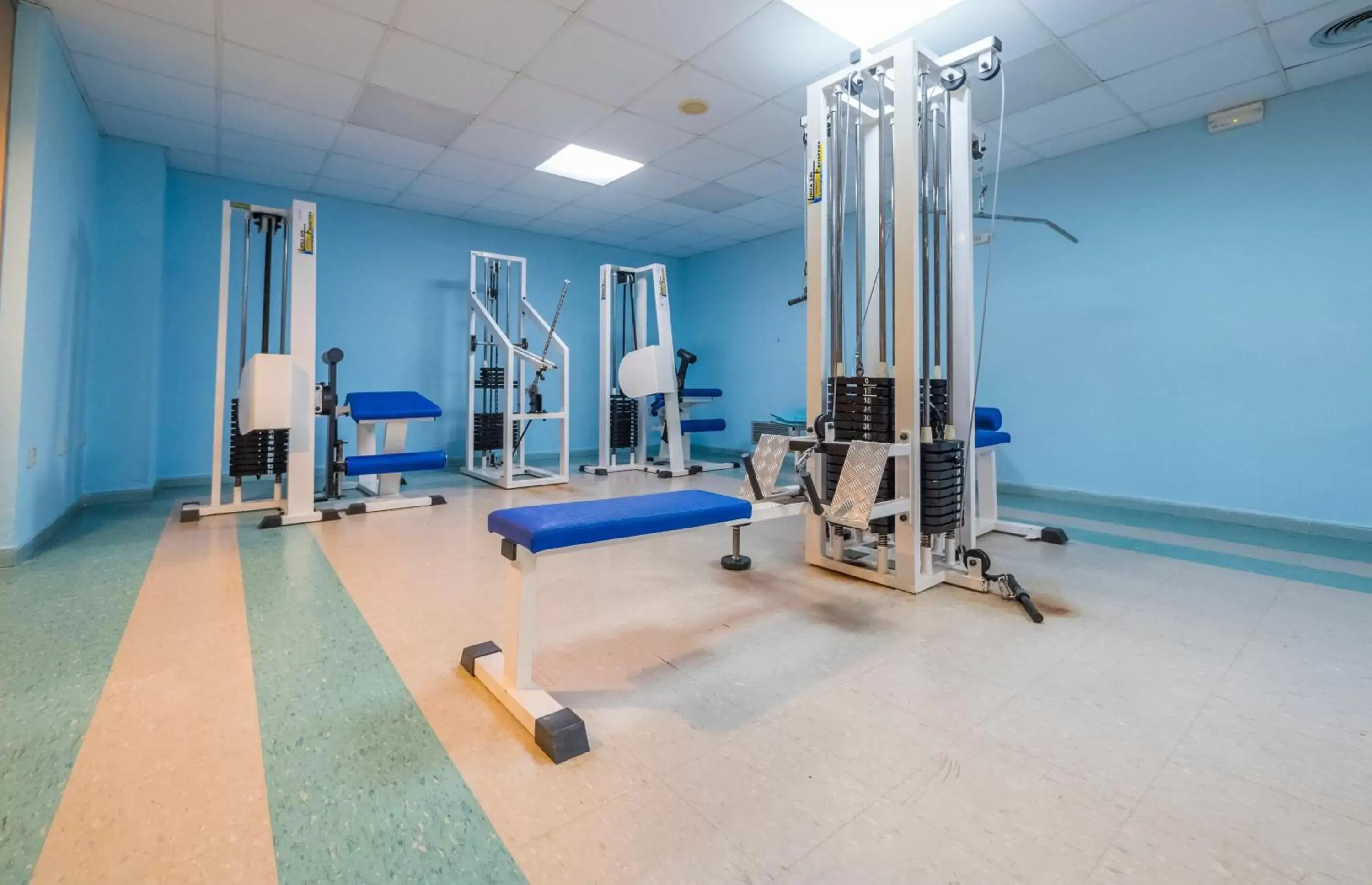 Activities, Fitness Center/Facilities in DWO Sirius - Adults Only