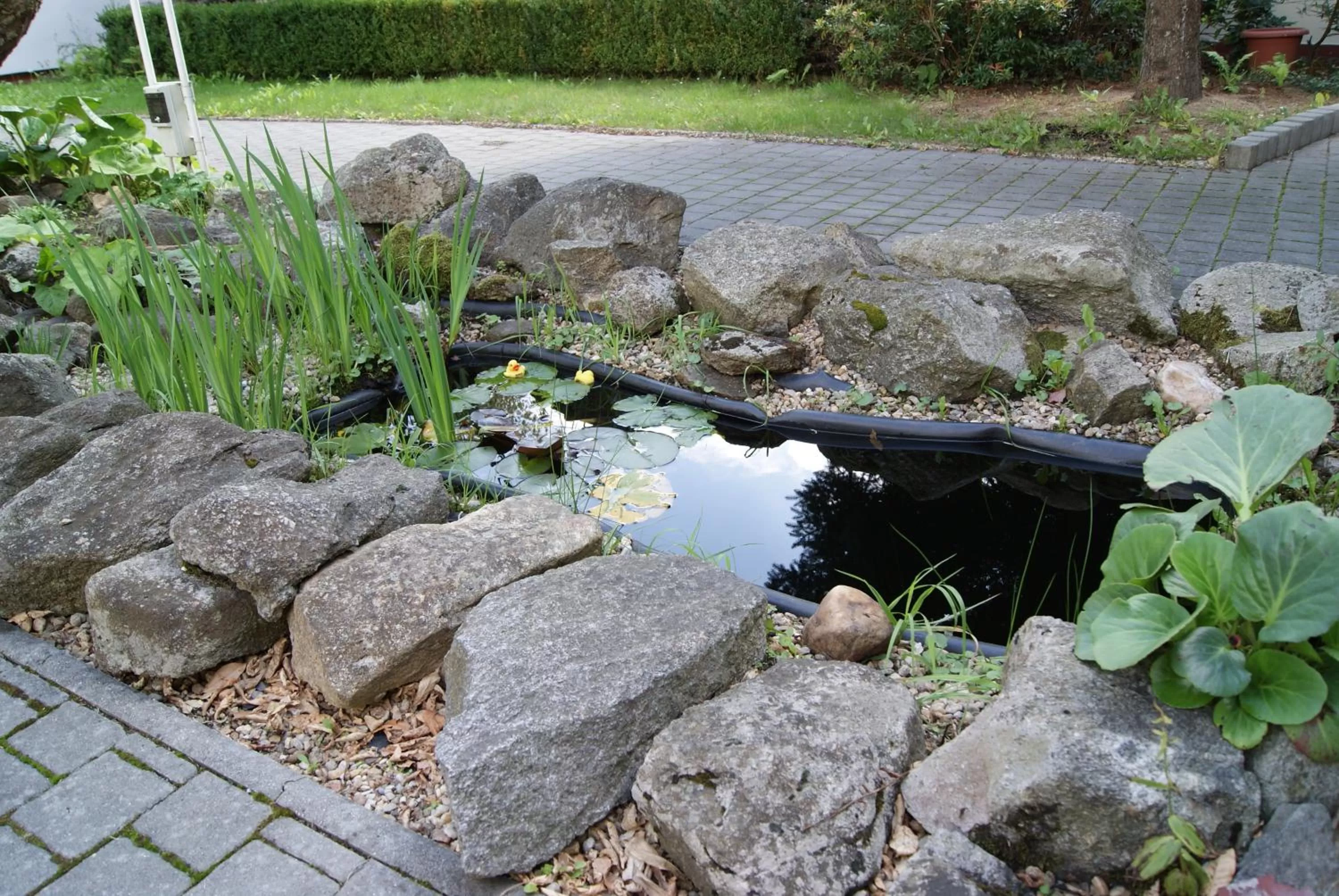 Neighbourhood in Motel Vega